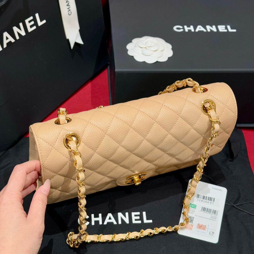 Chanel Classic Flap 25 (Medium)