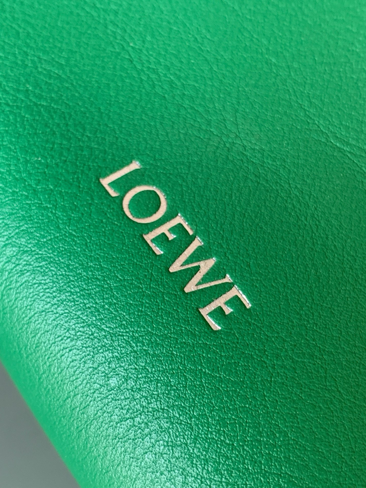Loewe Pebble Leather