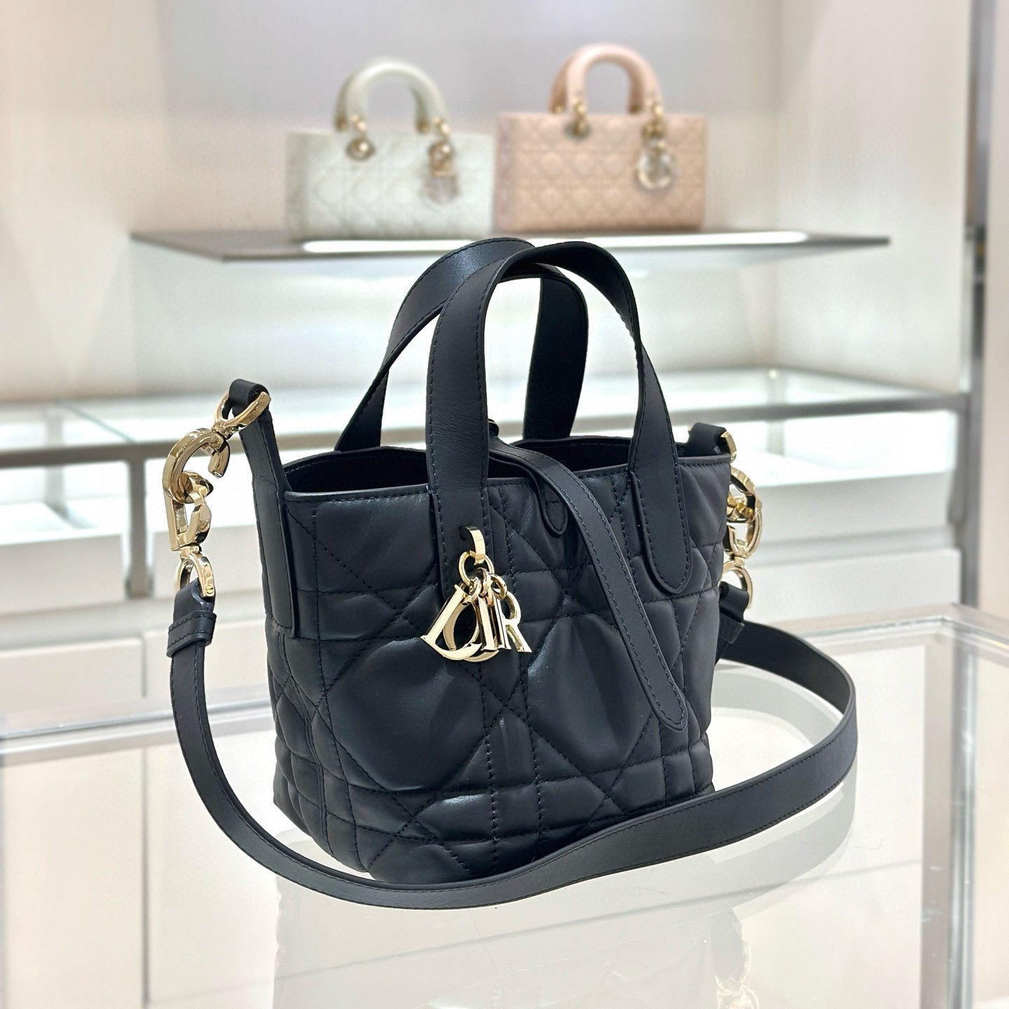 Dior Toujours Mini Bag