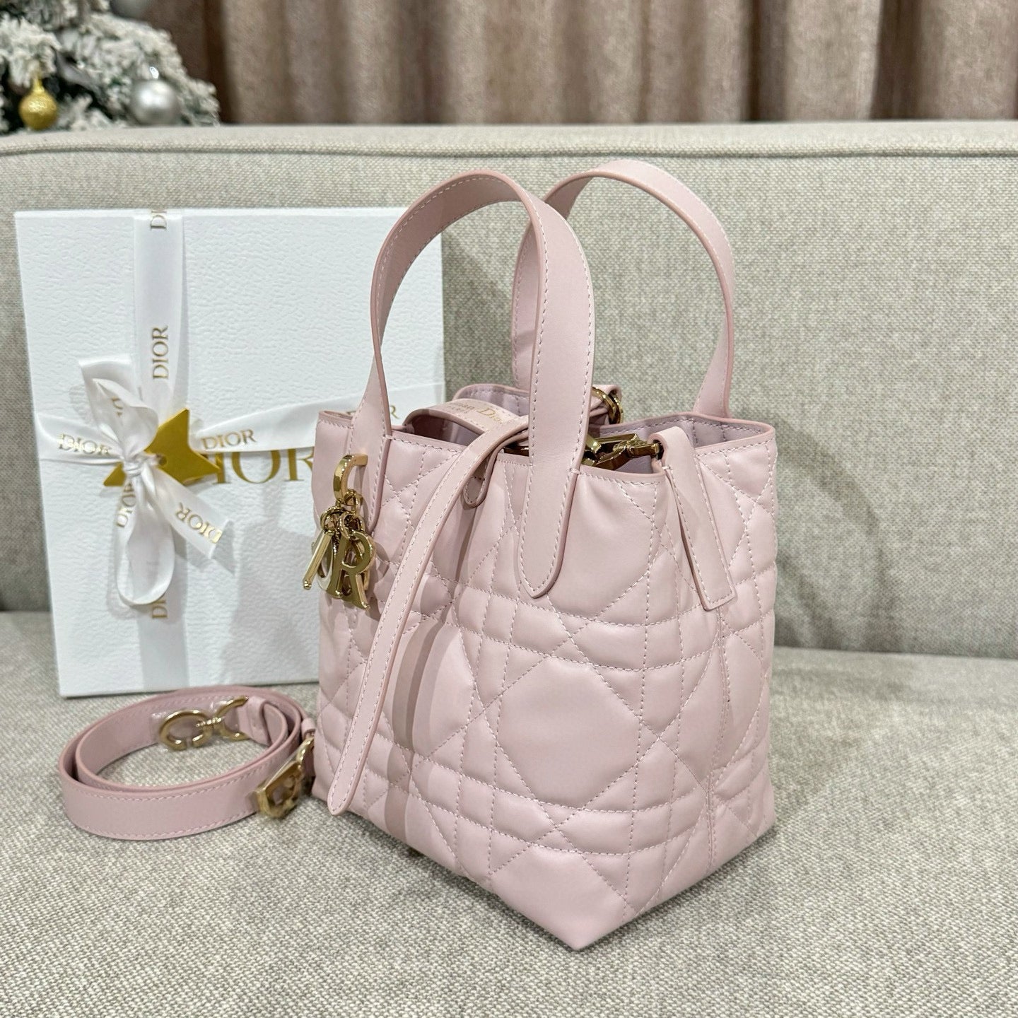 Dior Toujours Mini Bag