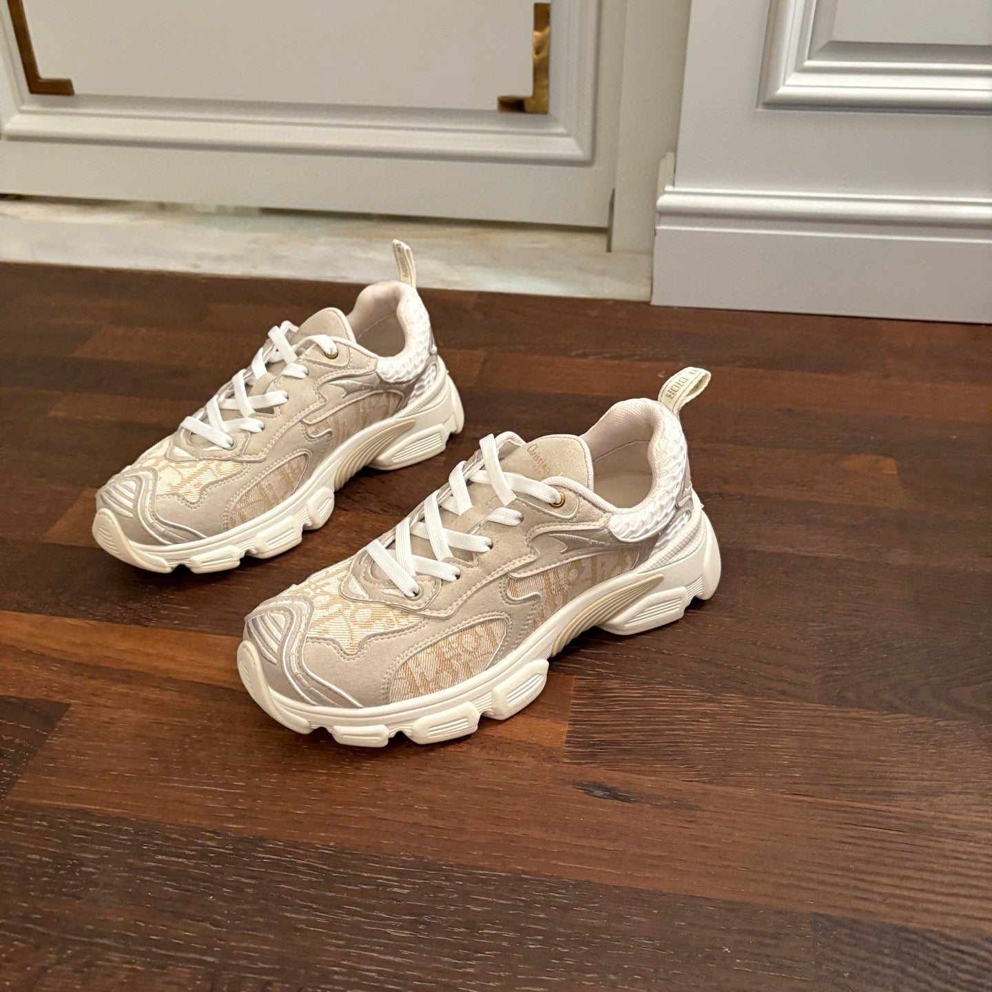 Dior Sneakers