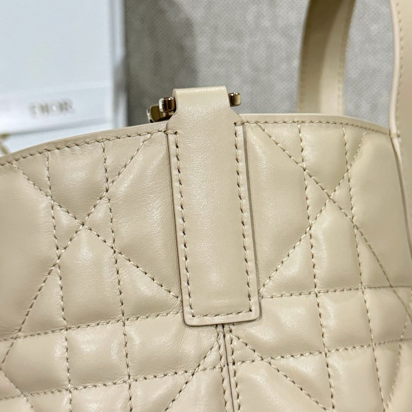 Dior Toujours Mini Bag