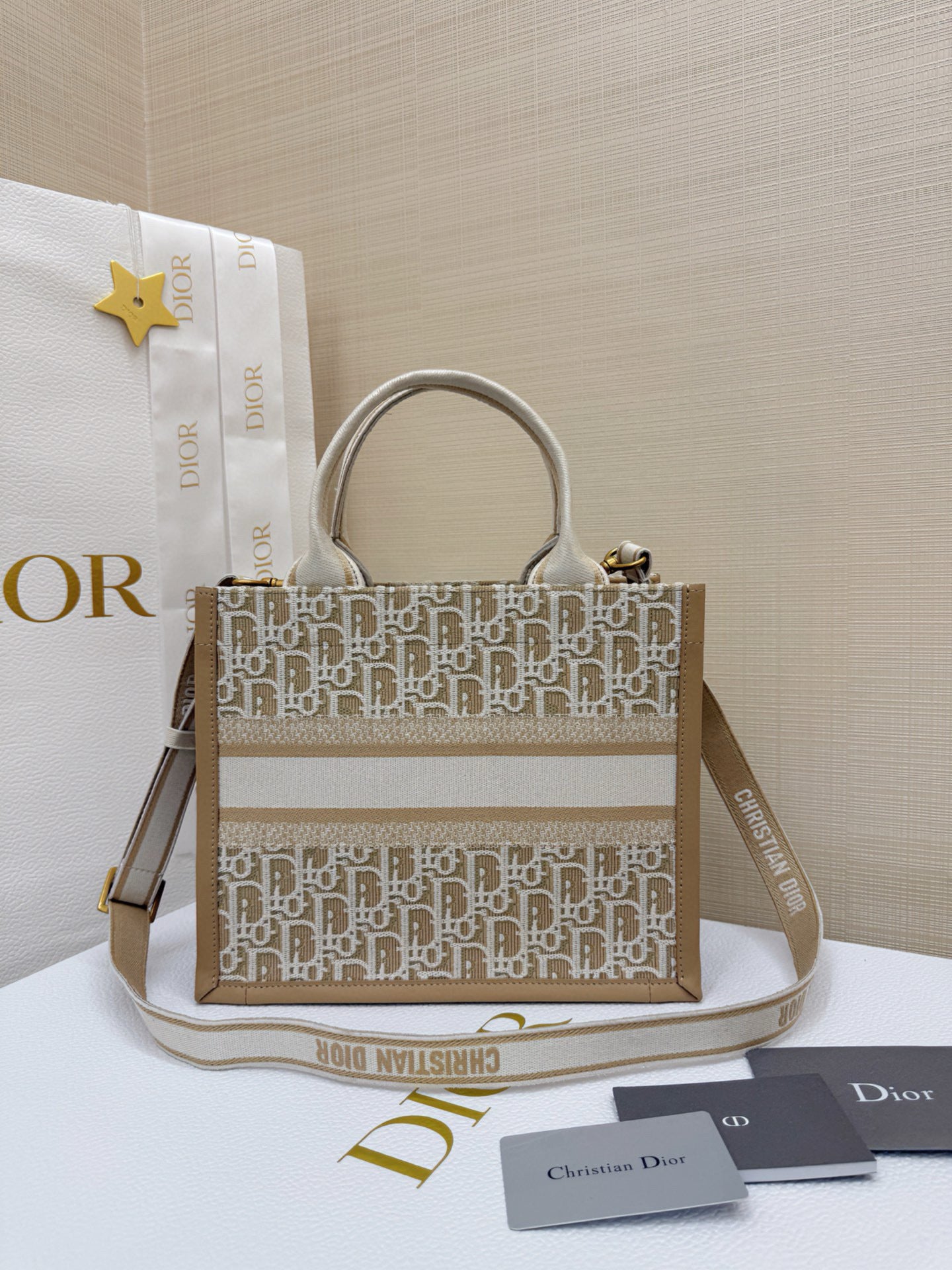 Dior Book Tote Bag