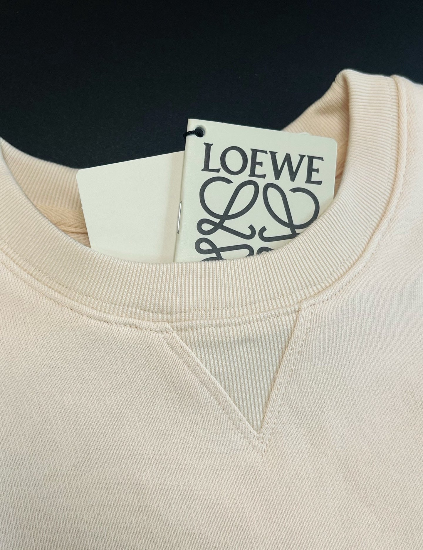 Loewe Sweater