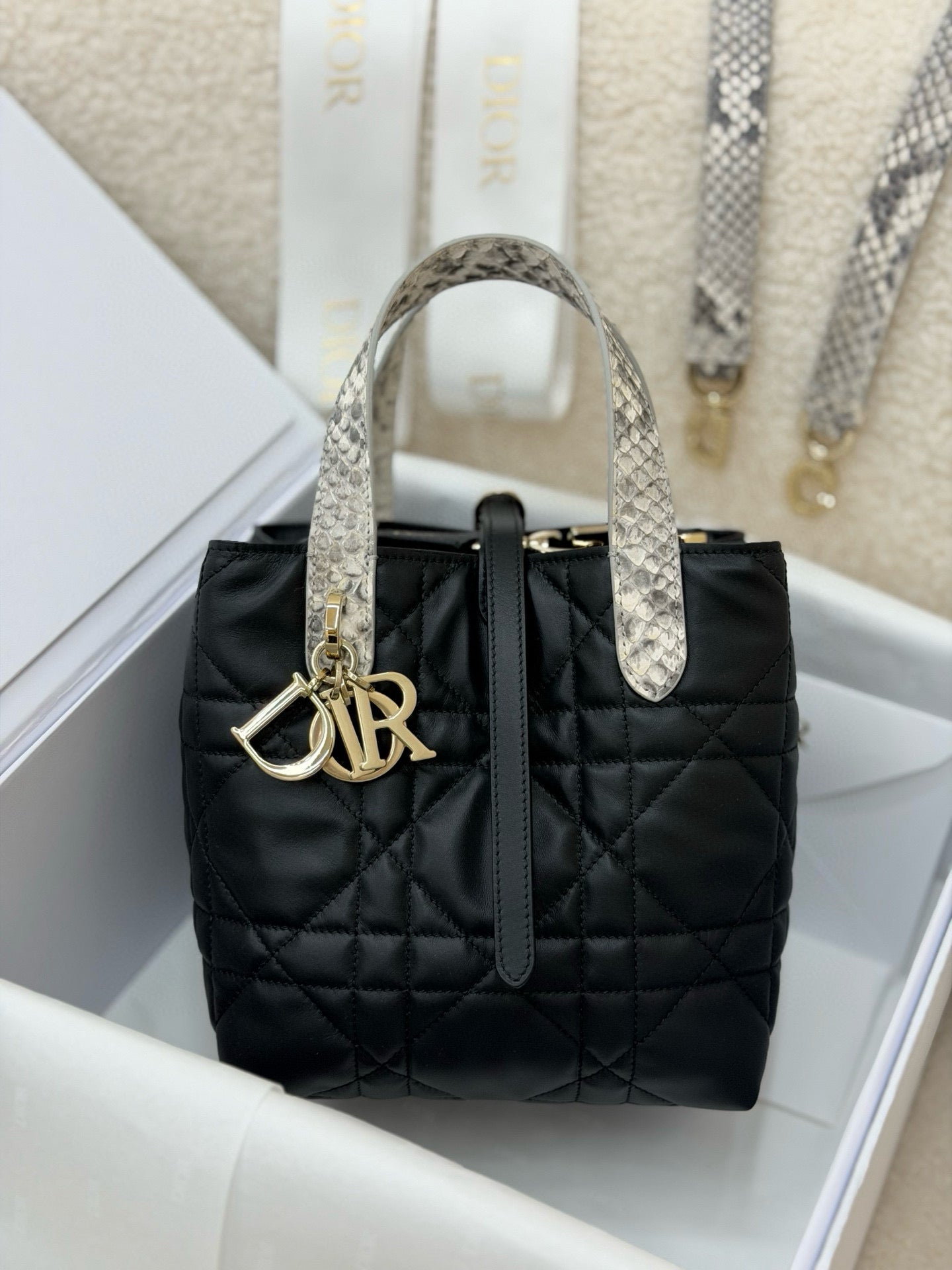 Dior Toujours Bag