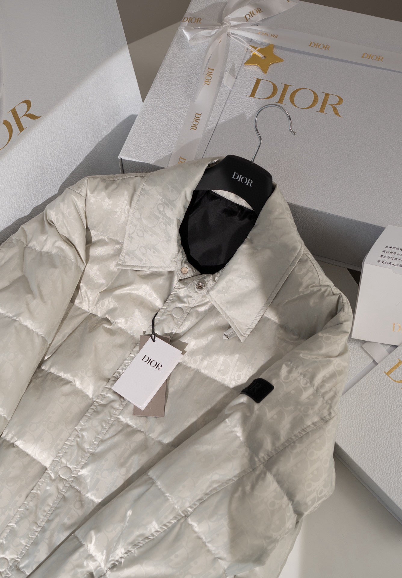 Dior Down Jacket