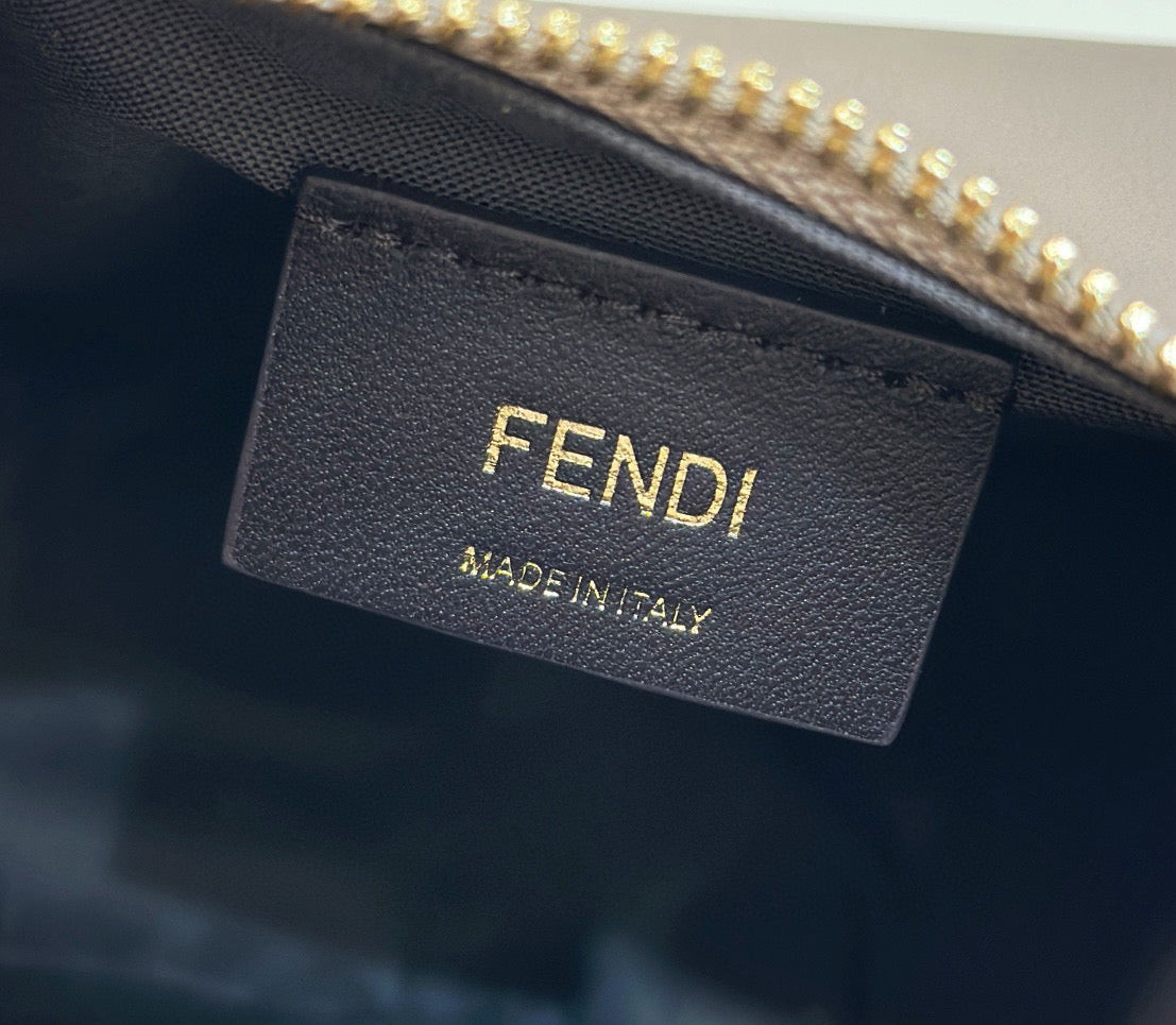 Fendi Fendigraphy Mini