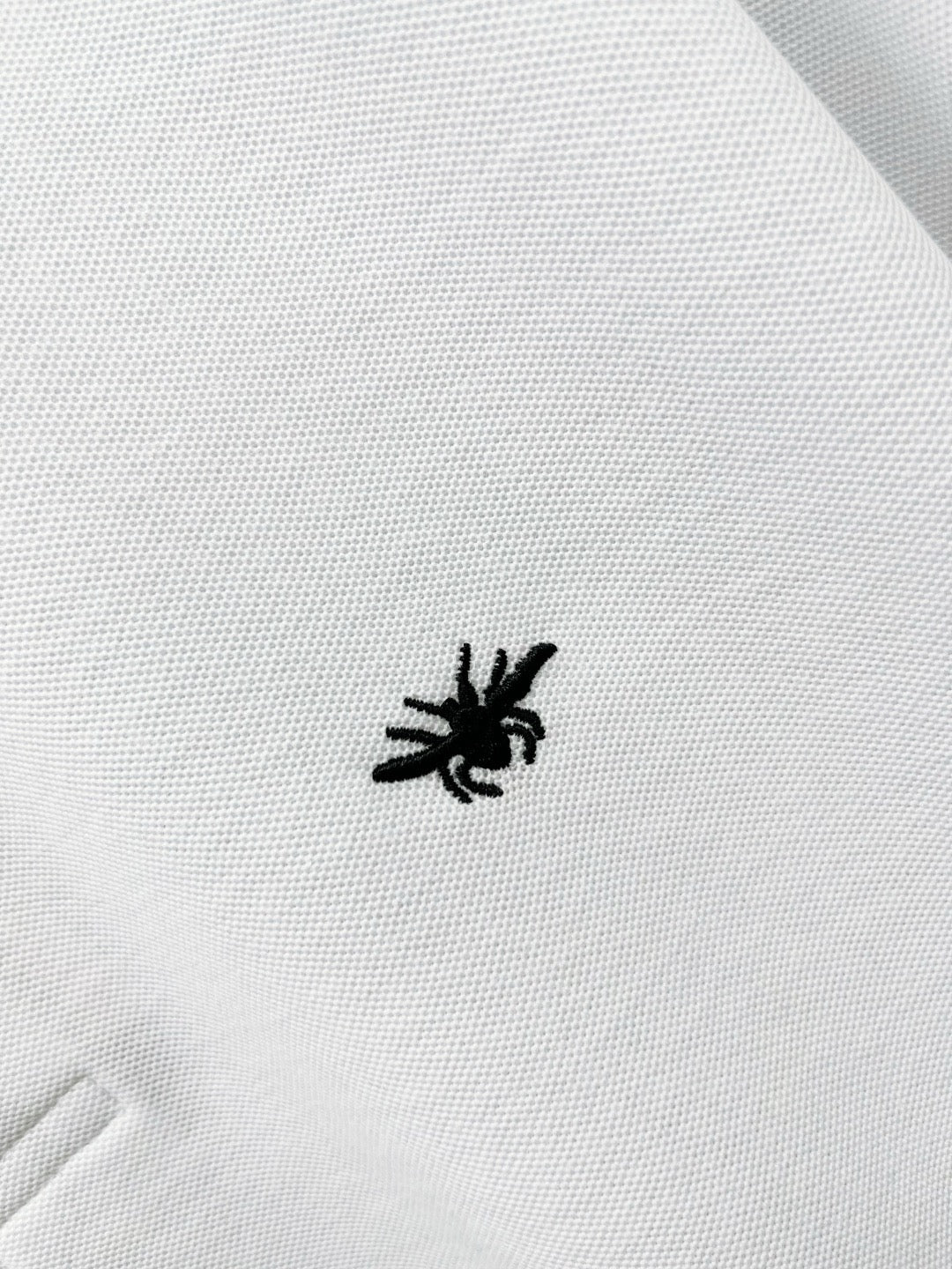 Dior Polo