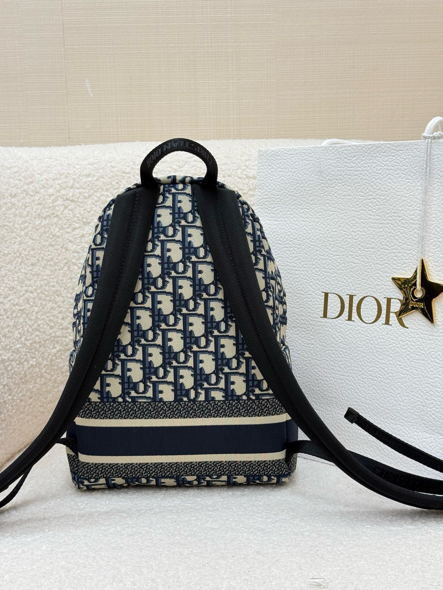 Dior Backpack
