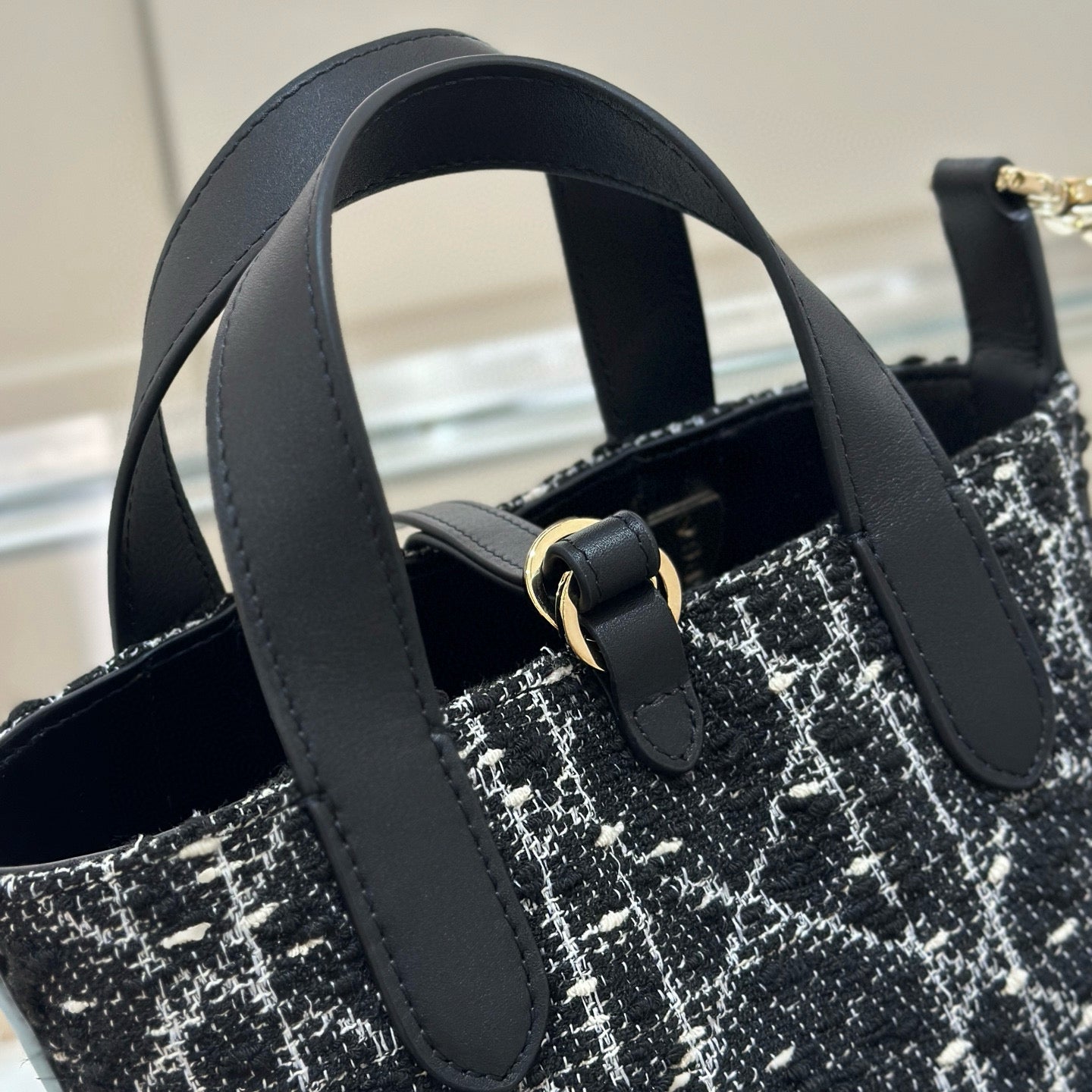 Dior Toujours Mini Bag