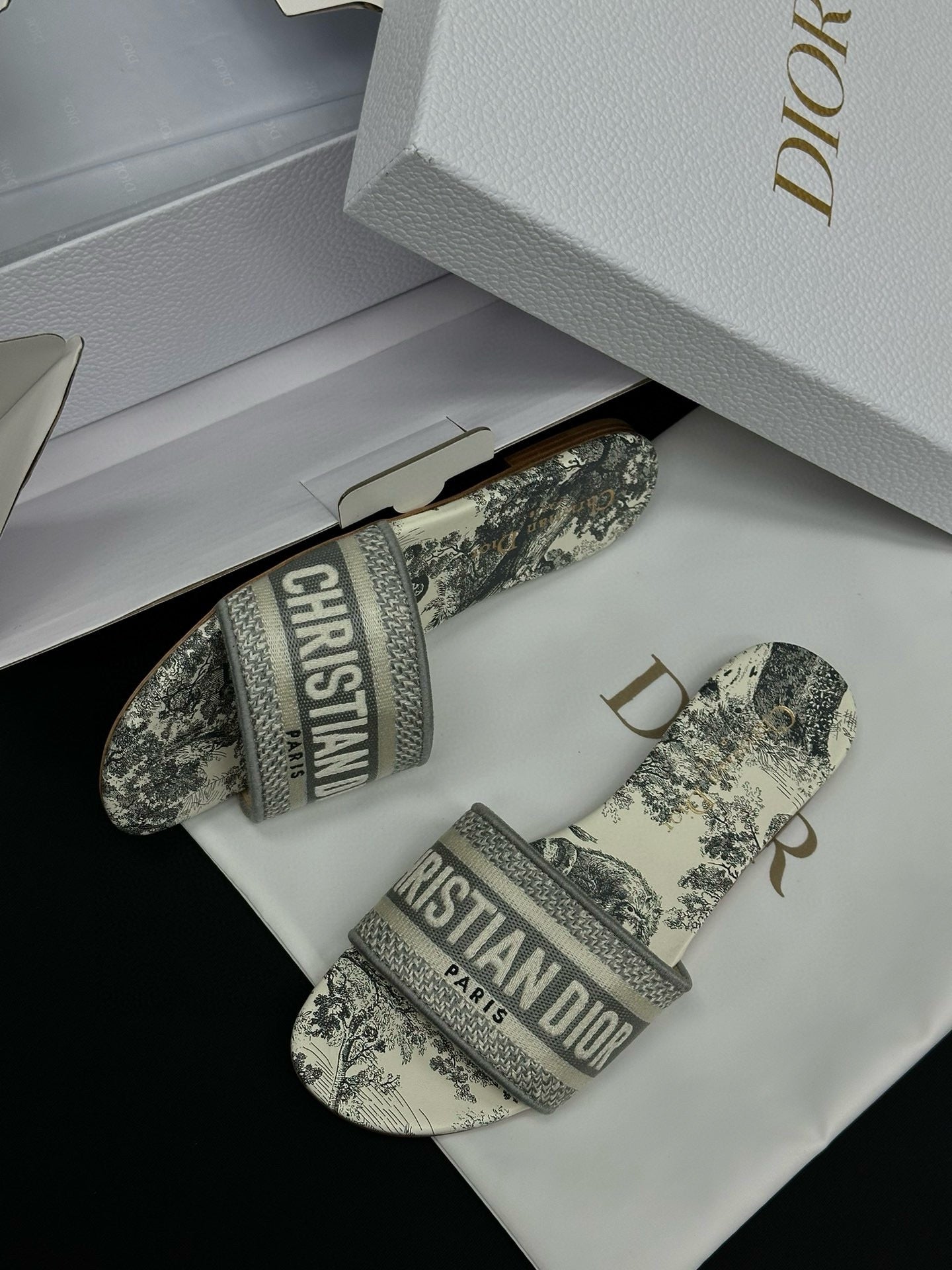 Dior Sandals