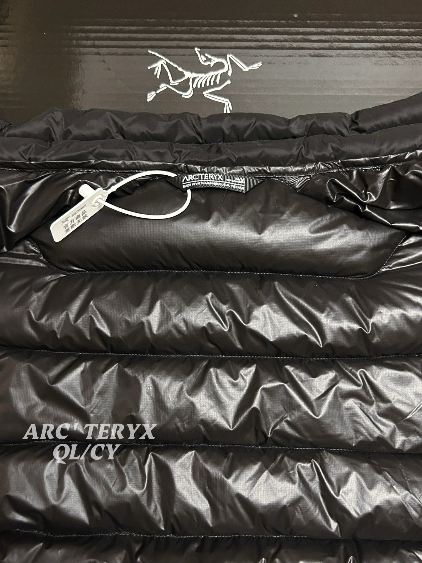 Arcteryx Down Vest