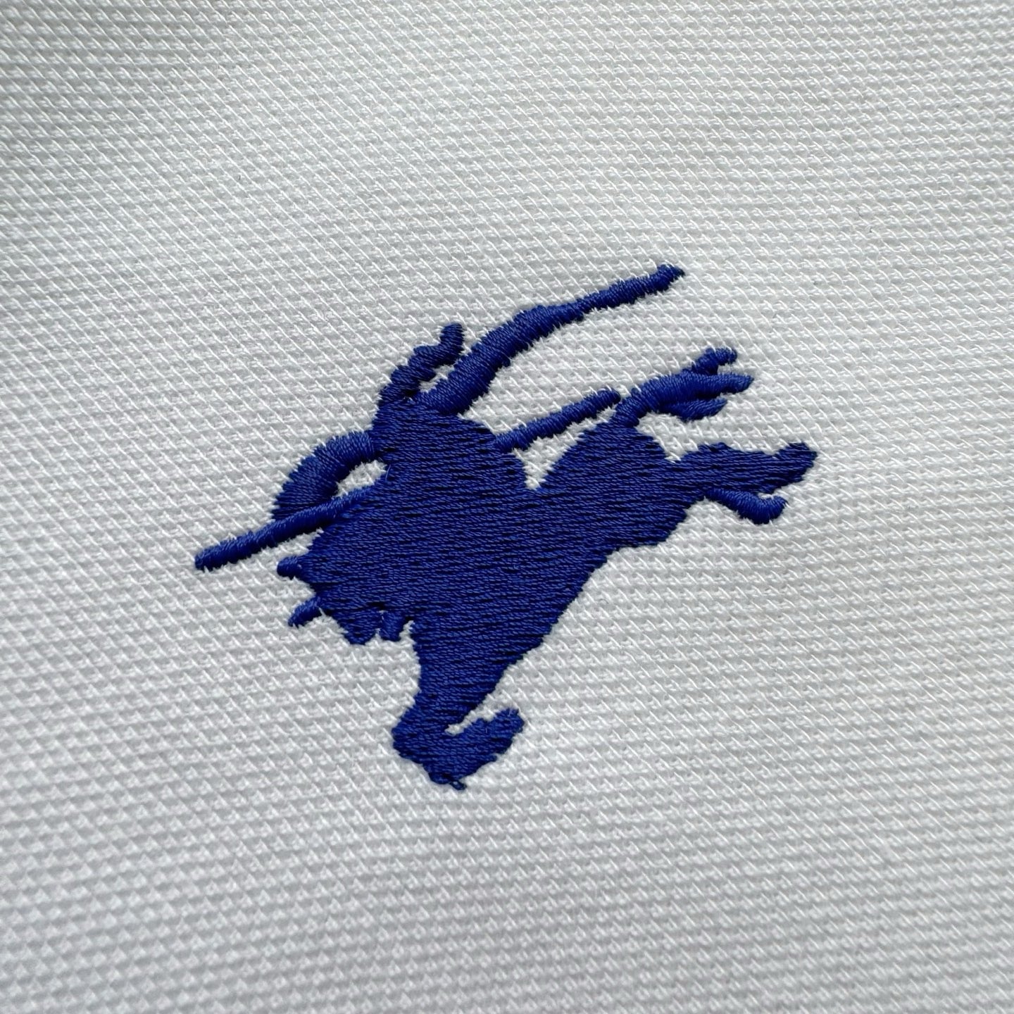 BBR Polo