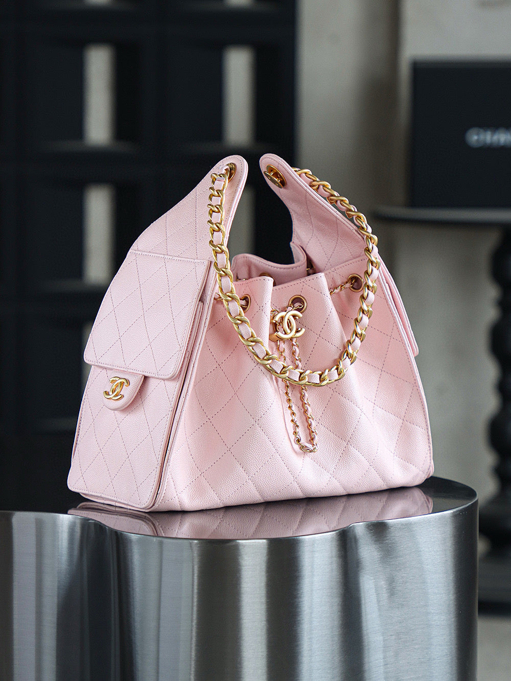 Chanel Hobo 25Bag (small)