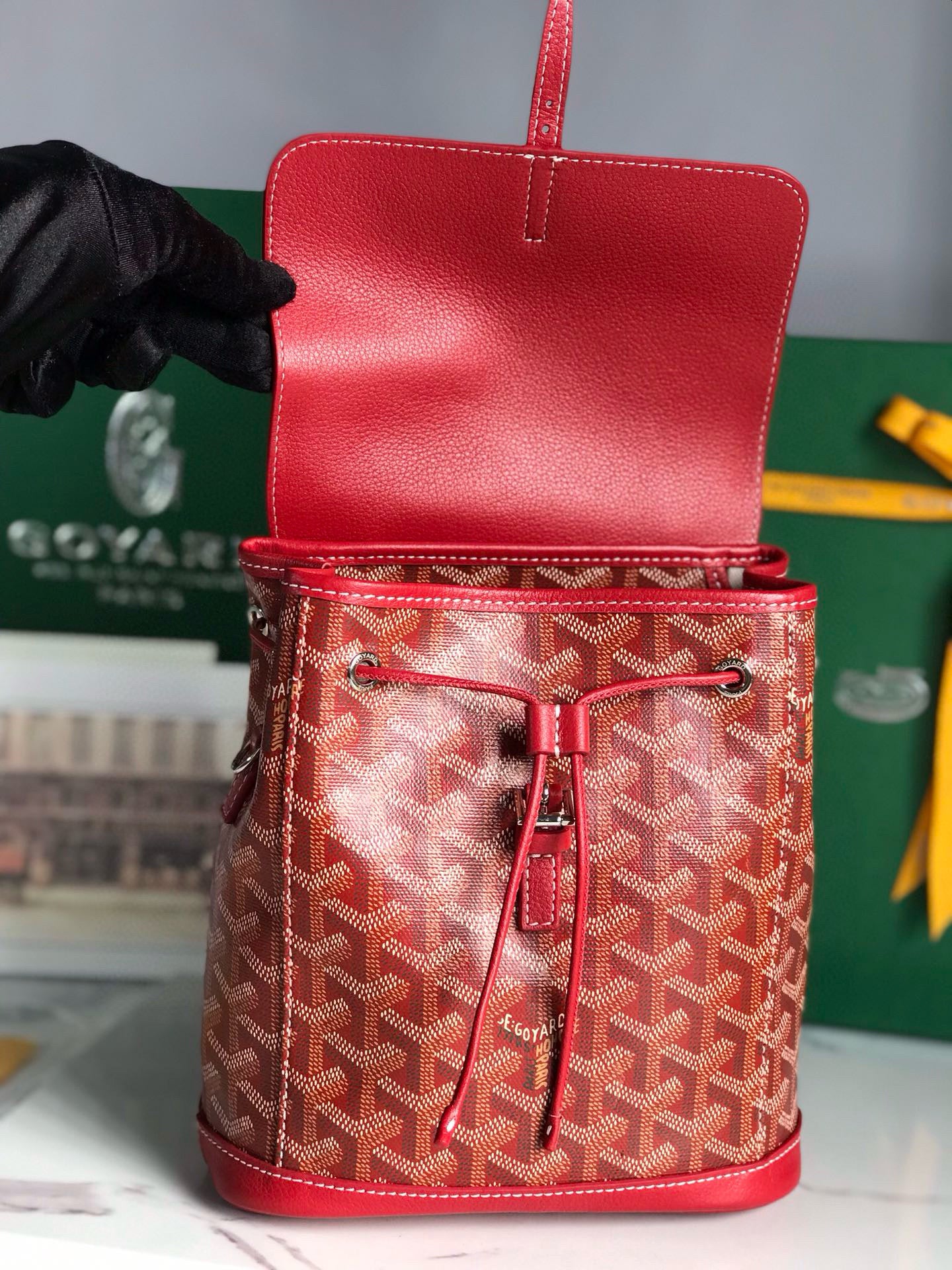 Goyard Mini Alpin Backpack