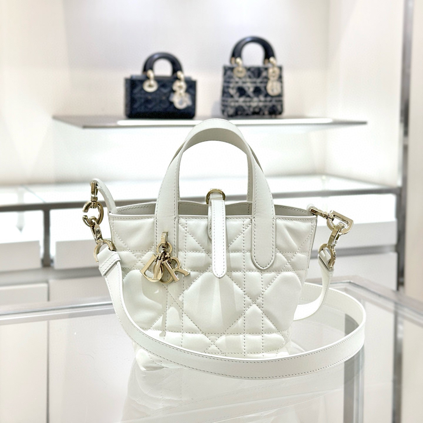 Dior Toujours Mini Bag