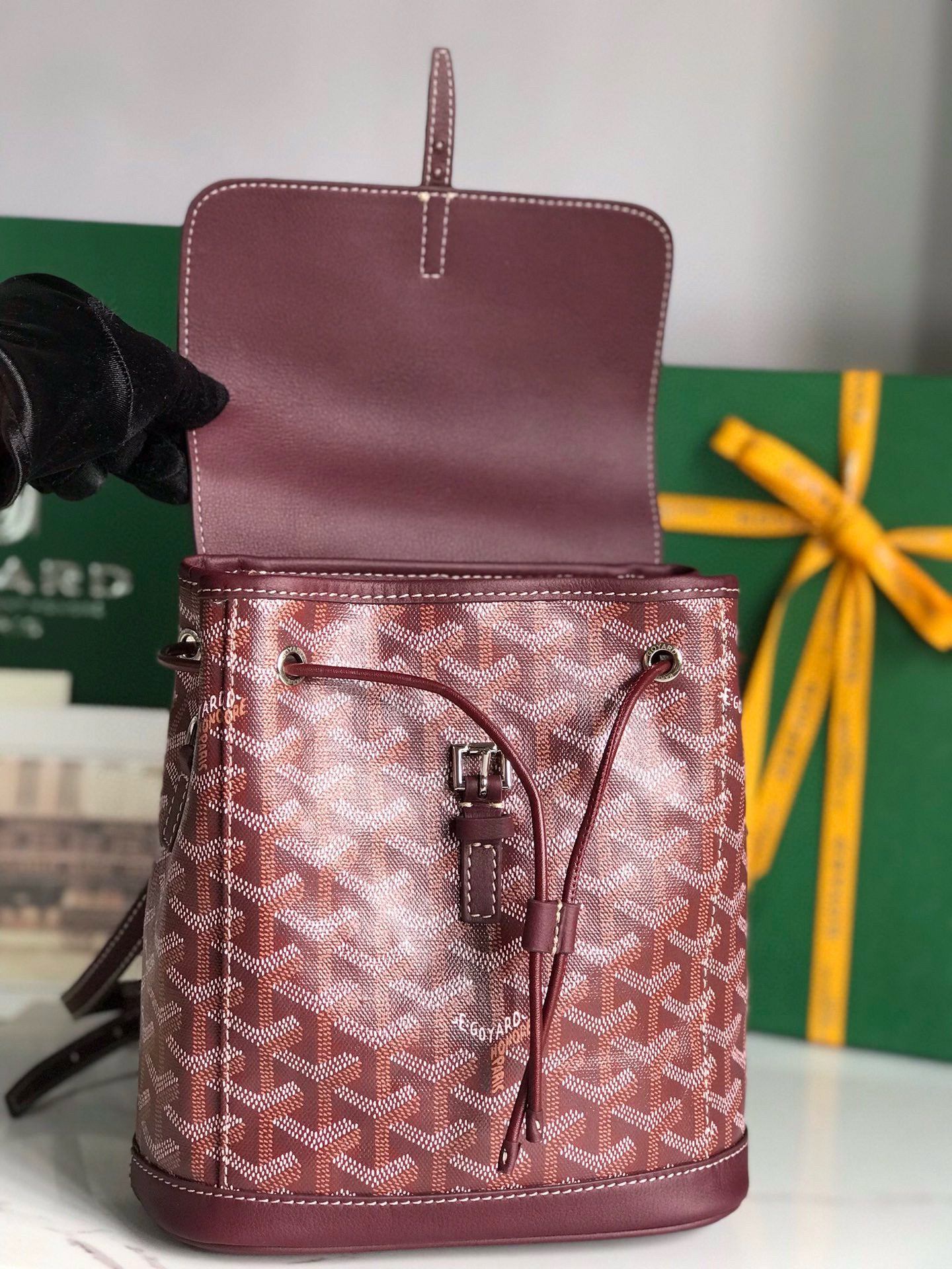 Goyard Mini Alpin Backpack