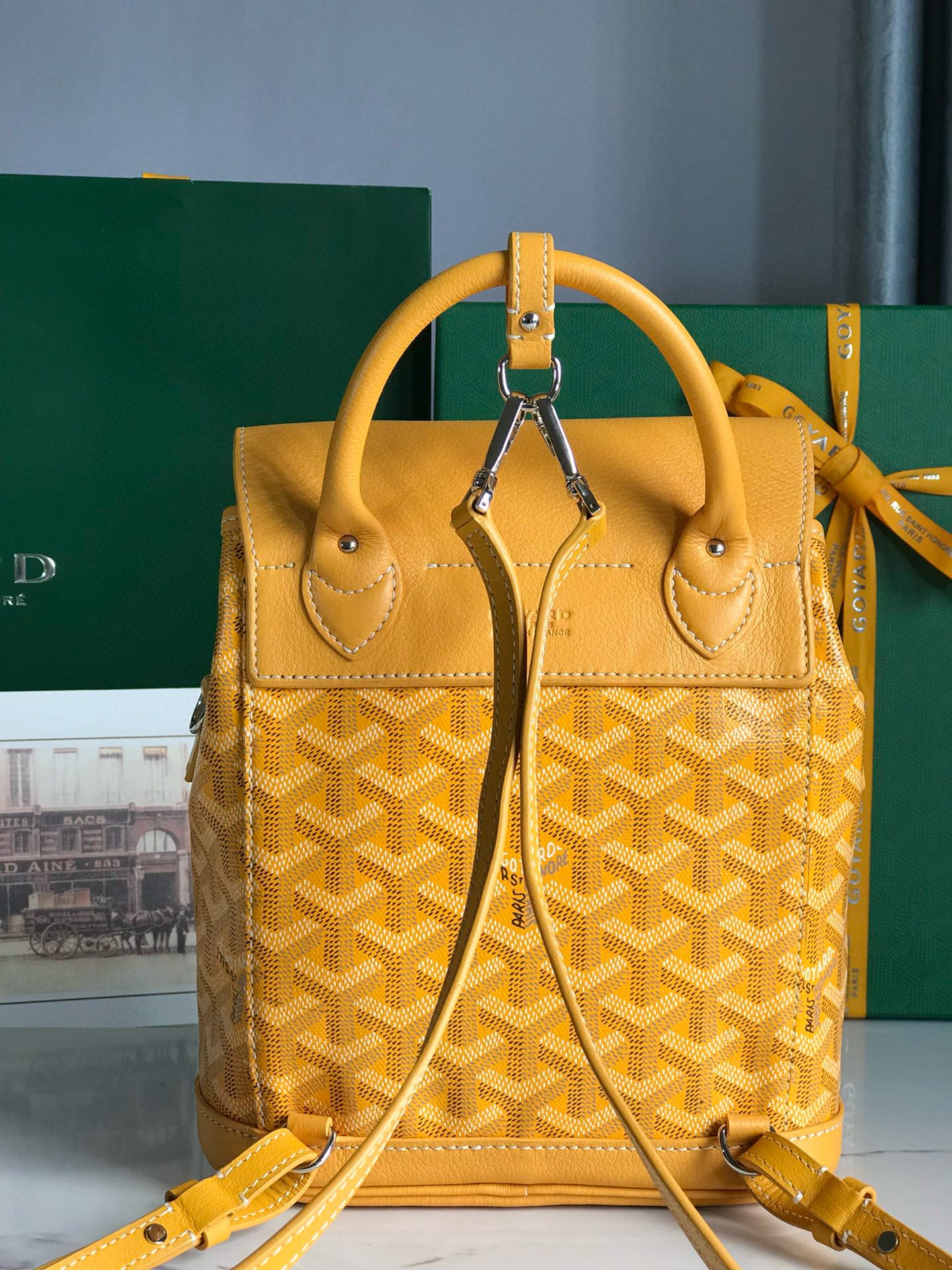 Goyard Mini Alpin Backpack