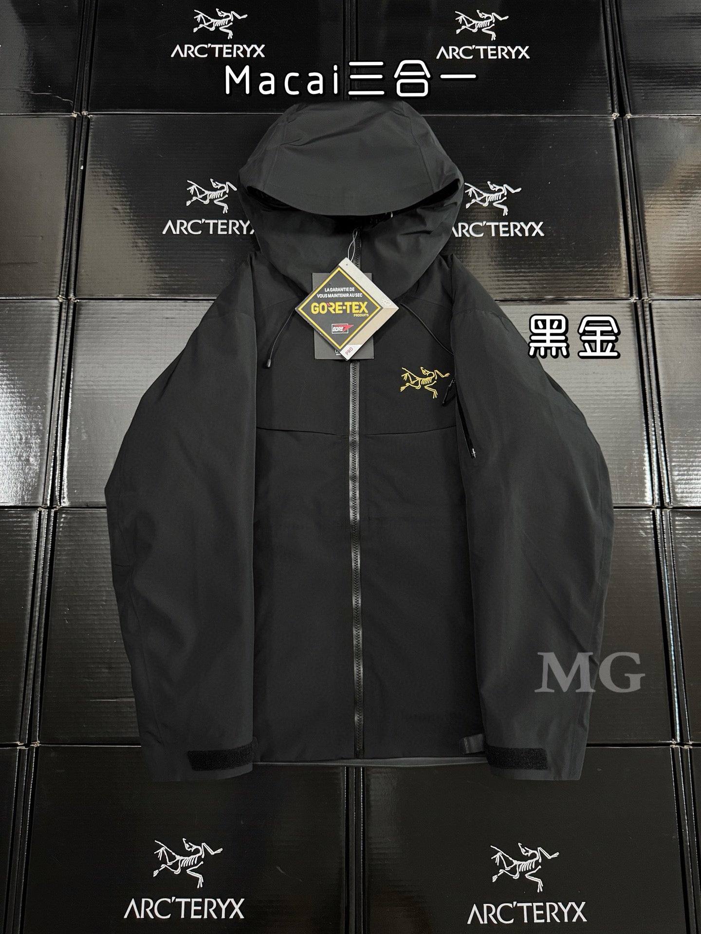Arcteryx Jacket