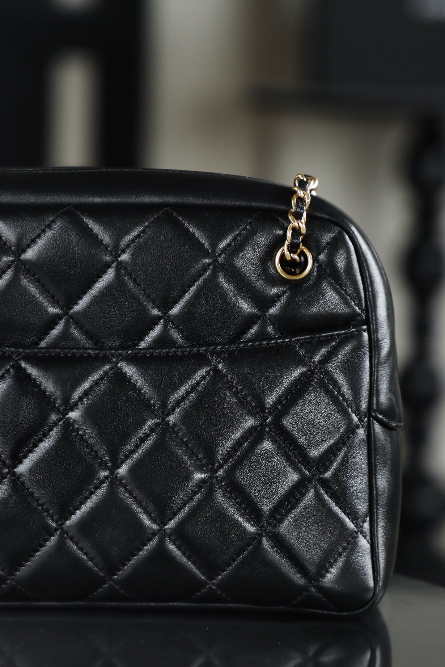 Chanel 24K Camera Bag