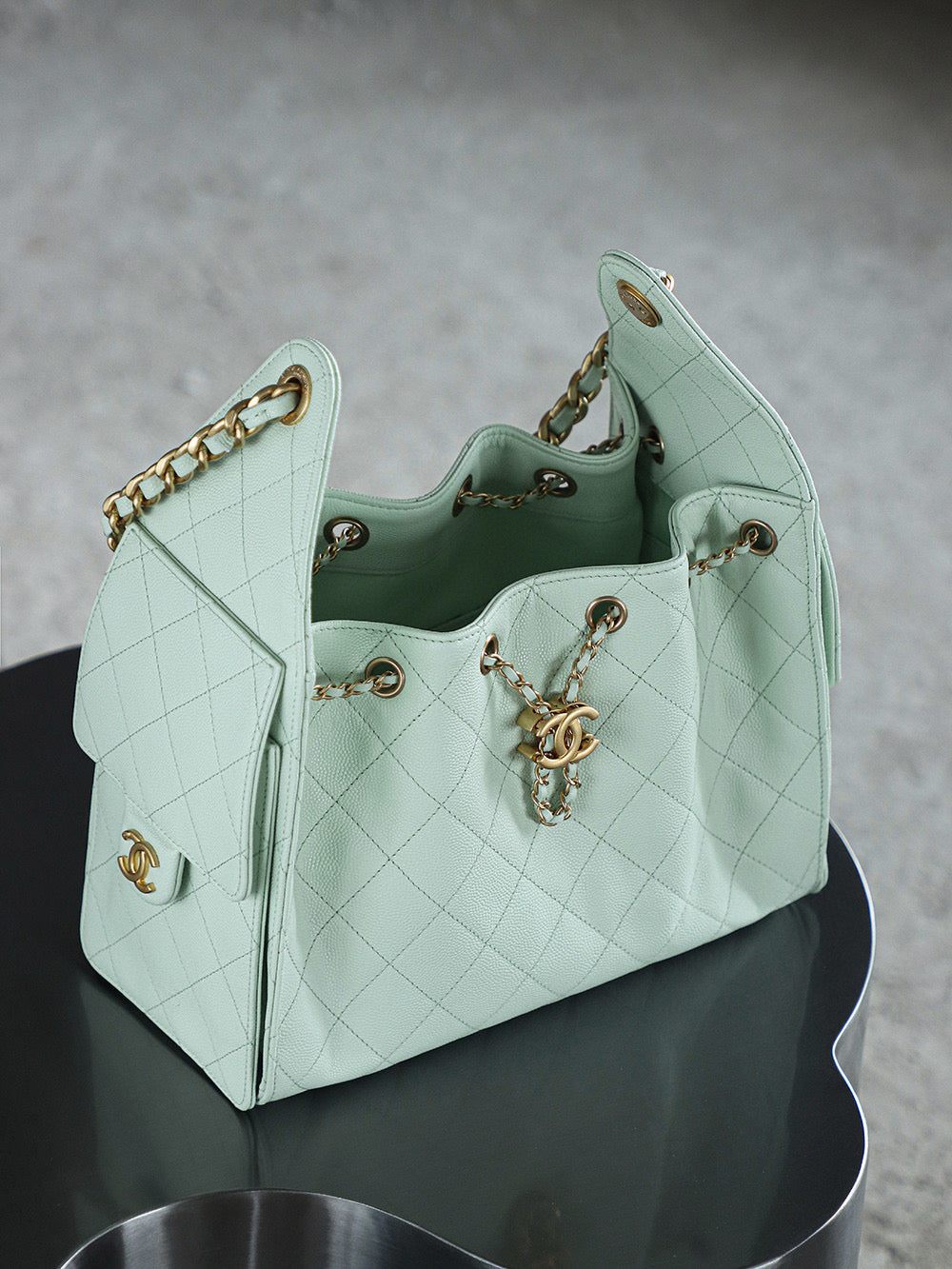 Chanel Hobo 25Bag (small)