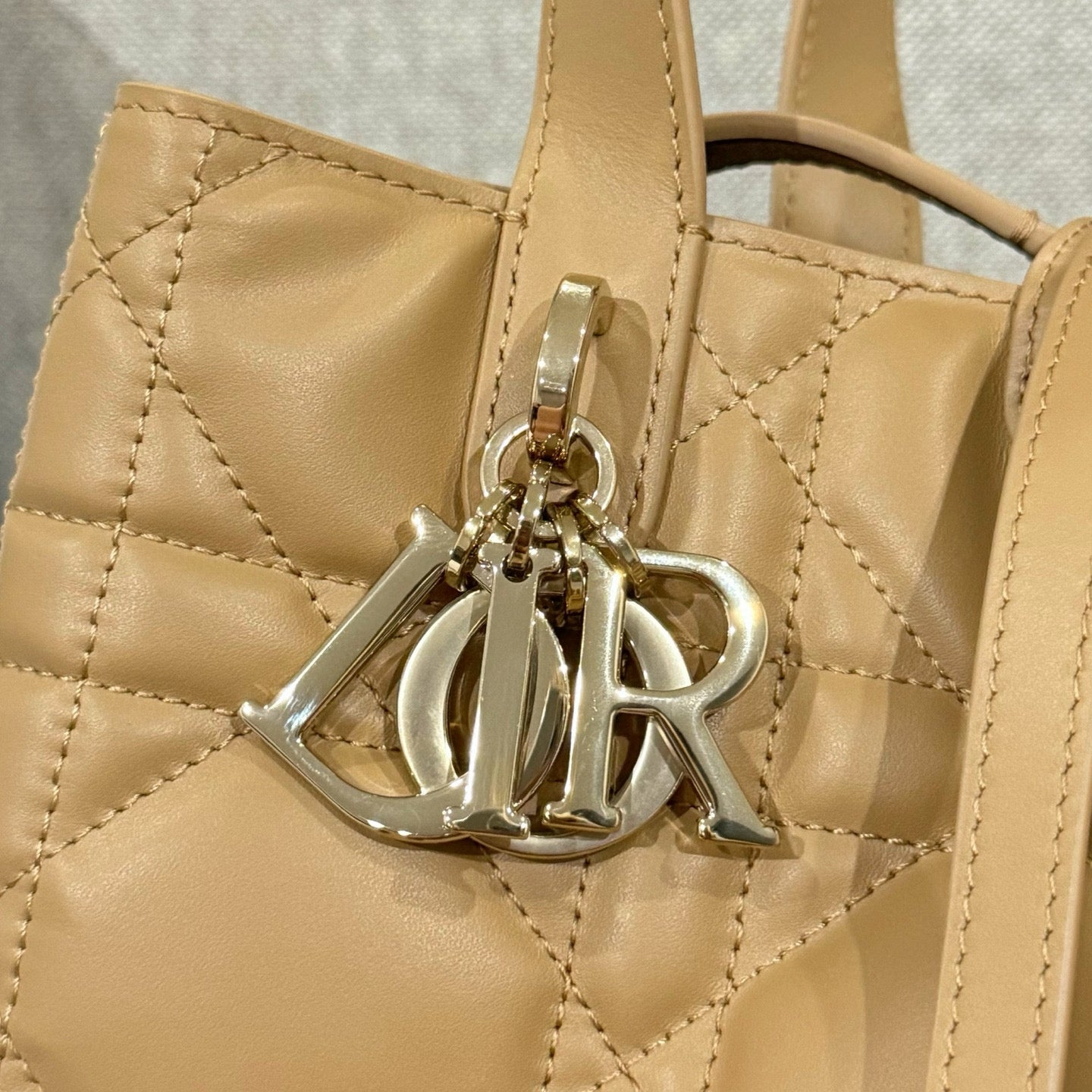 Dior Toujours Bag