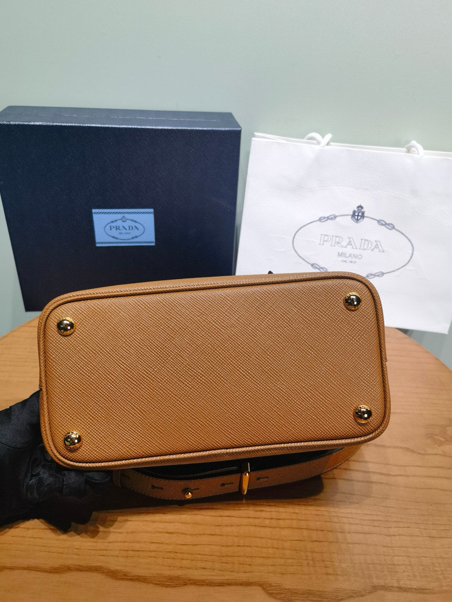 Prada Double Bag