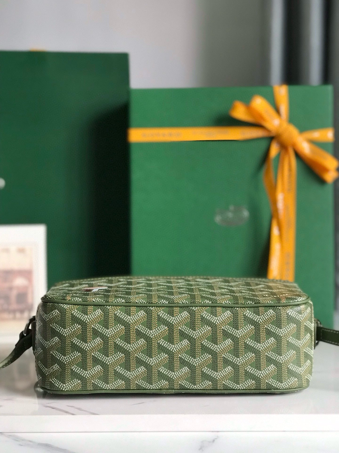 GOYARD CAP-VERT PM BAG