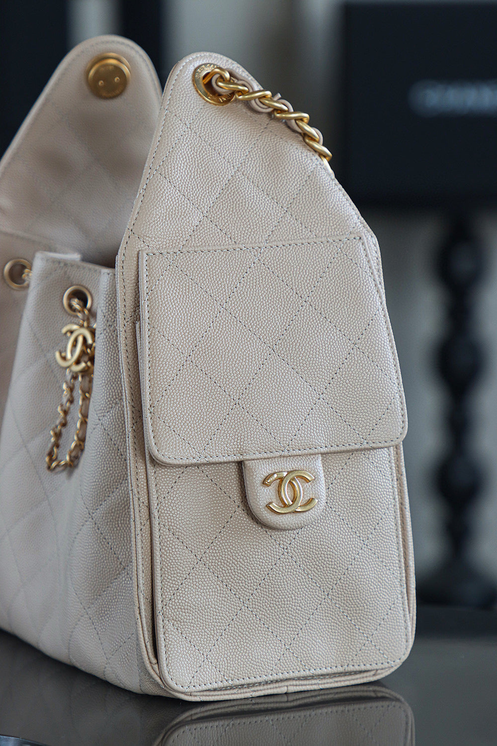 Chanel Hobo 25Bag (small)