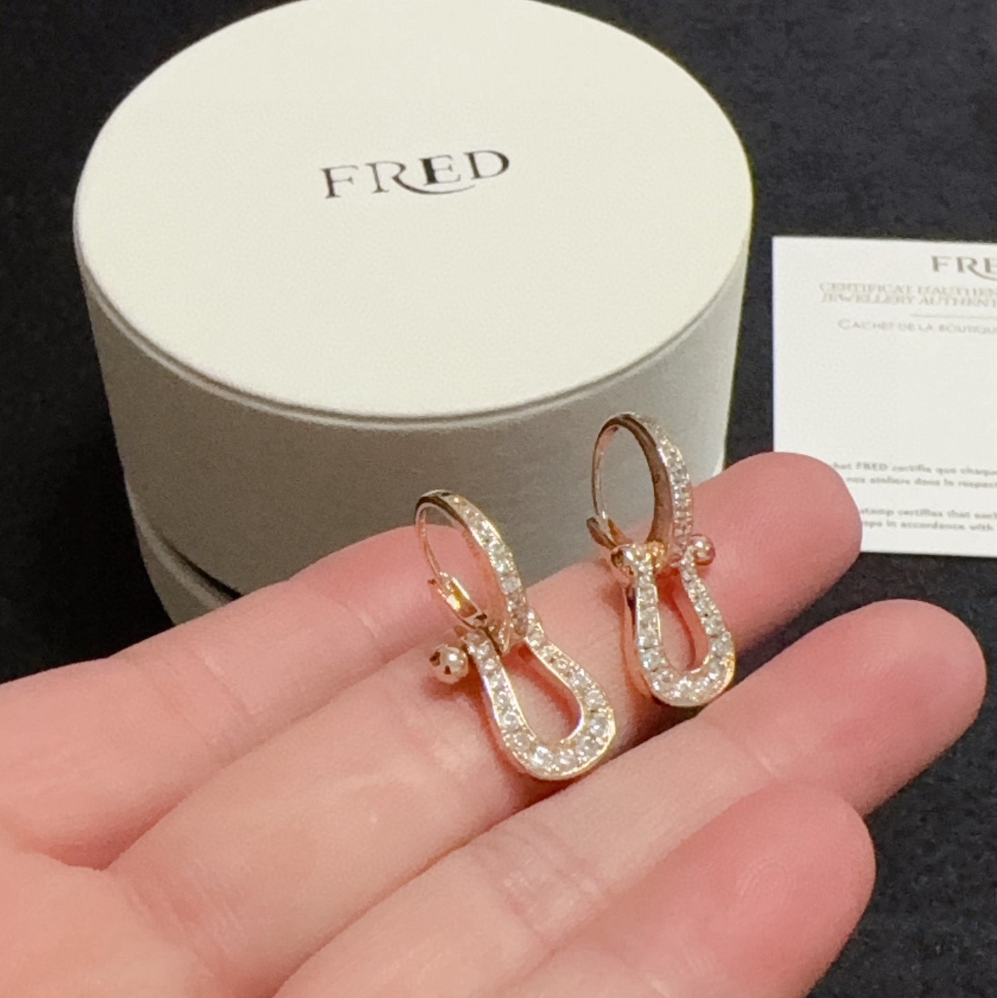 Fred Earrings