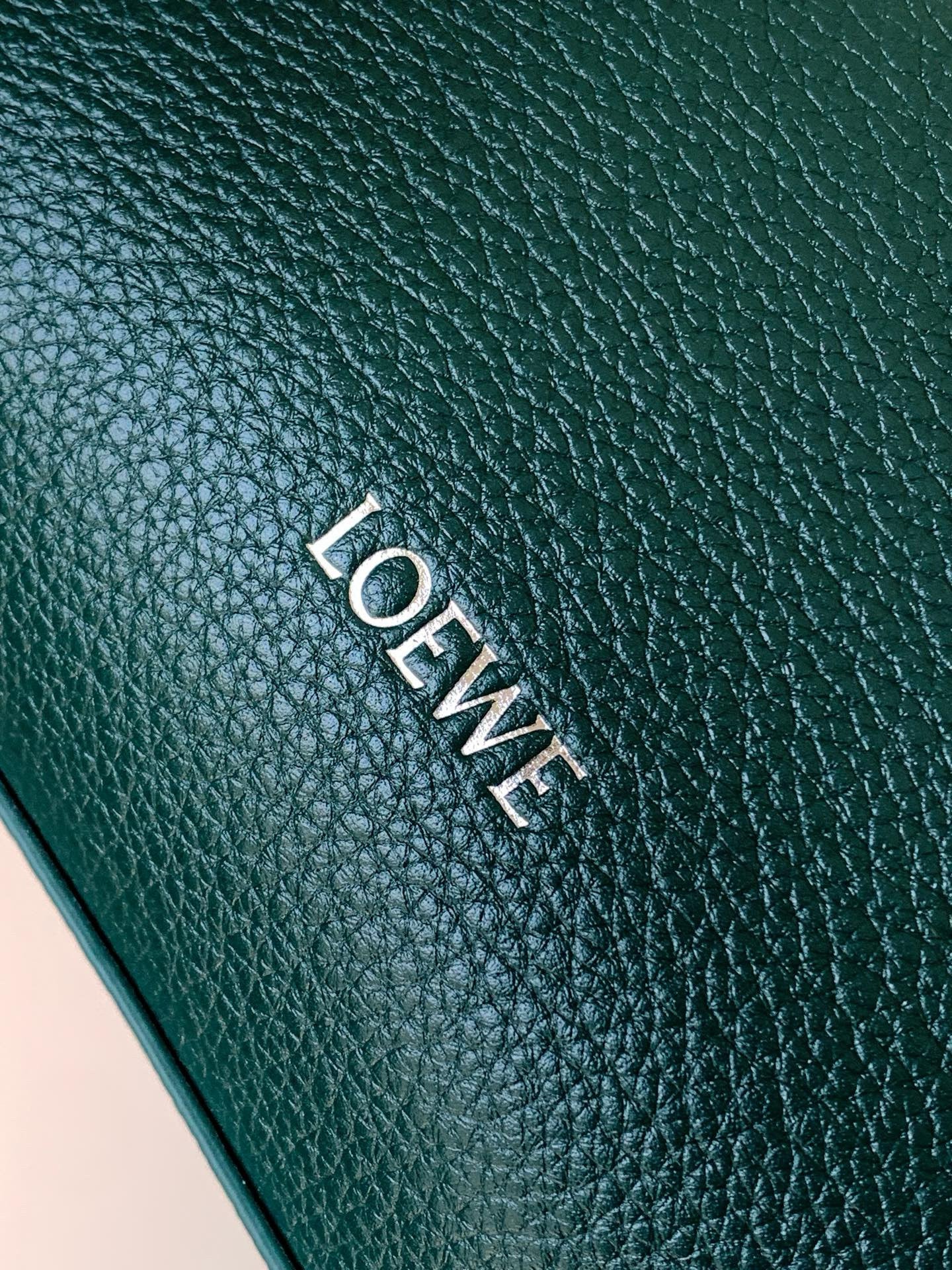 Loewe Pebble Leather