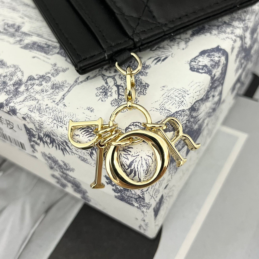 Dior Card Holder