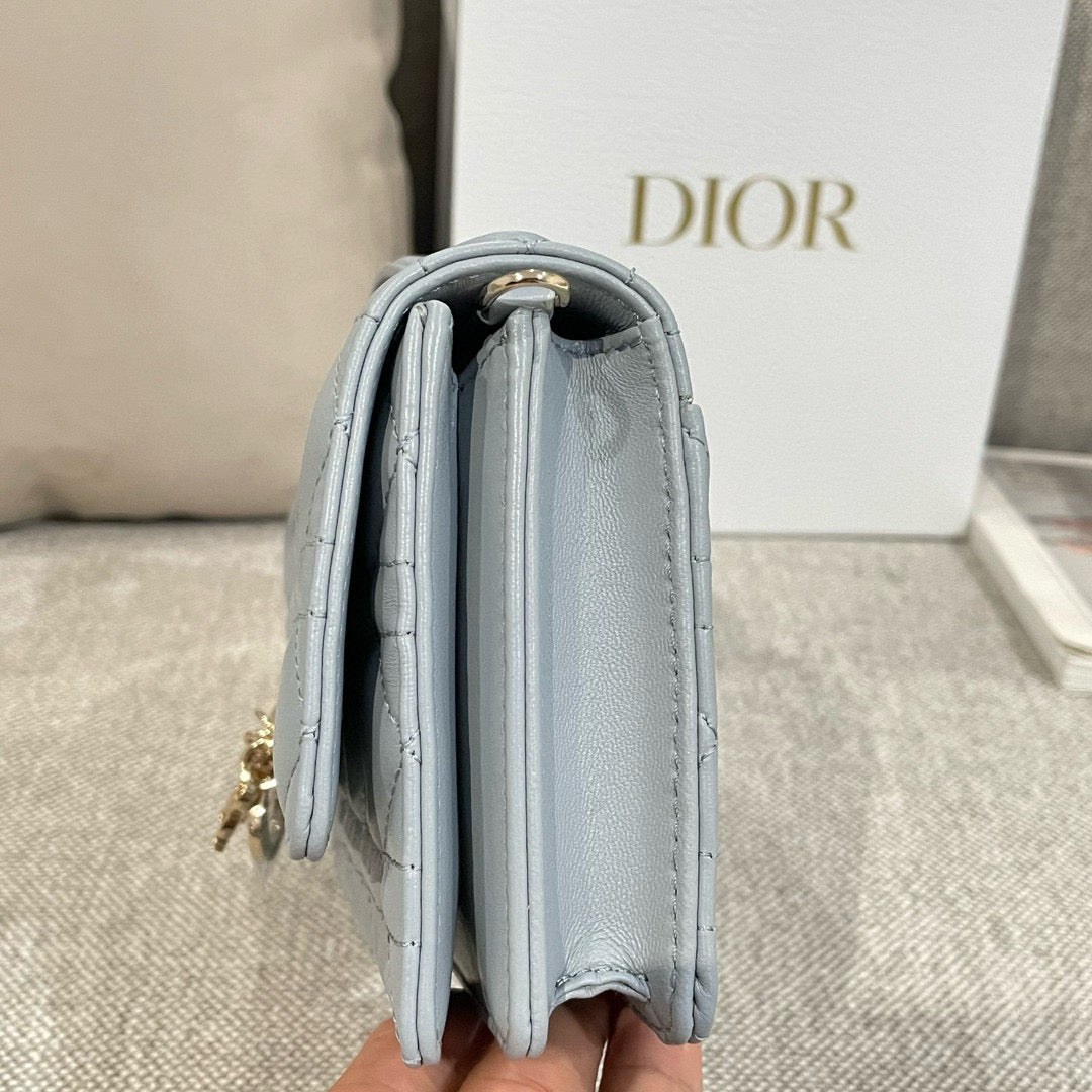 Dior WOC