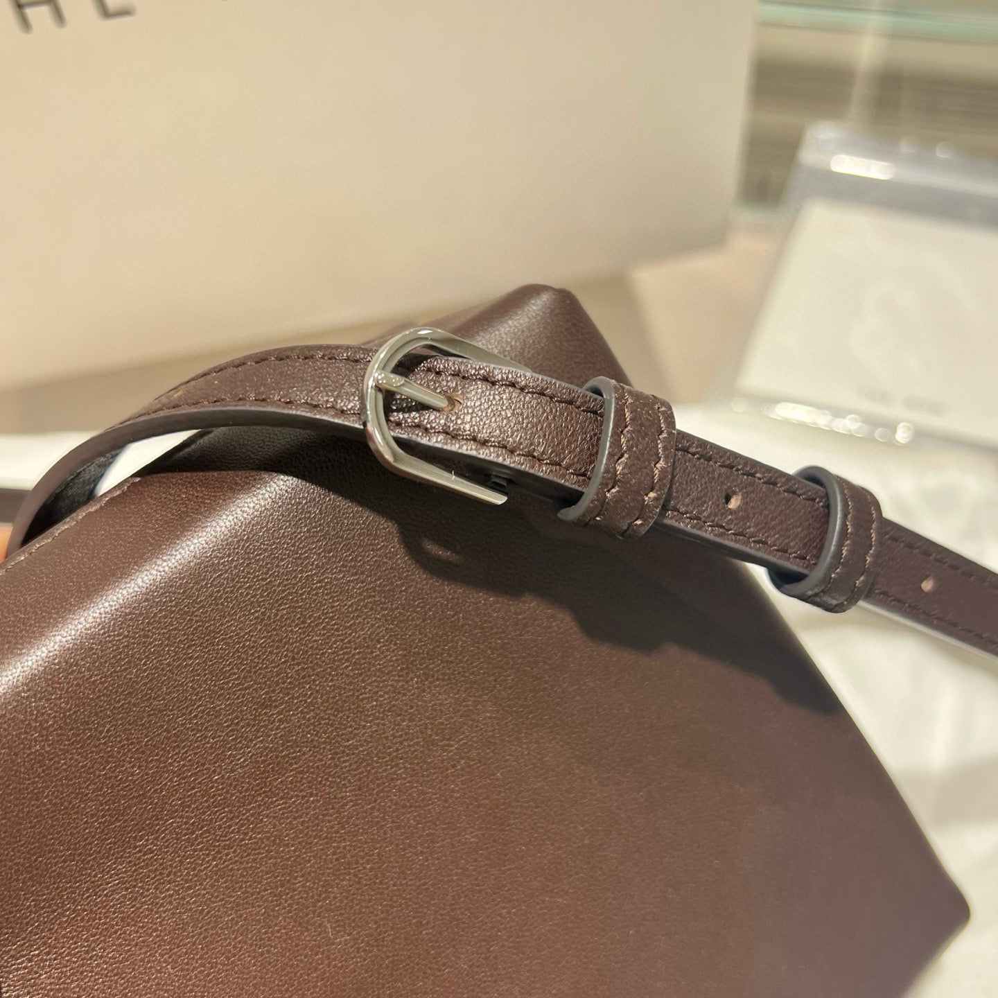 The Row Regent Crossbody Bag