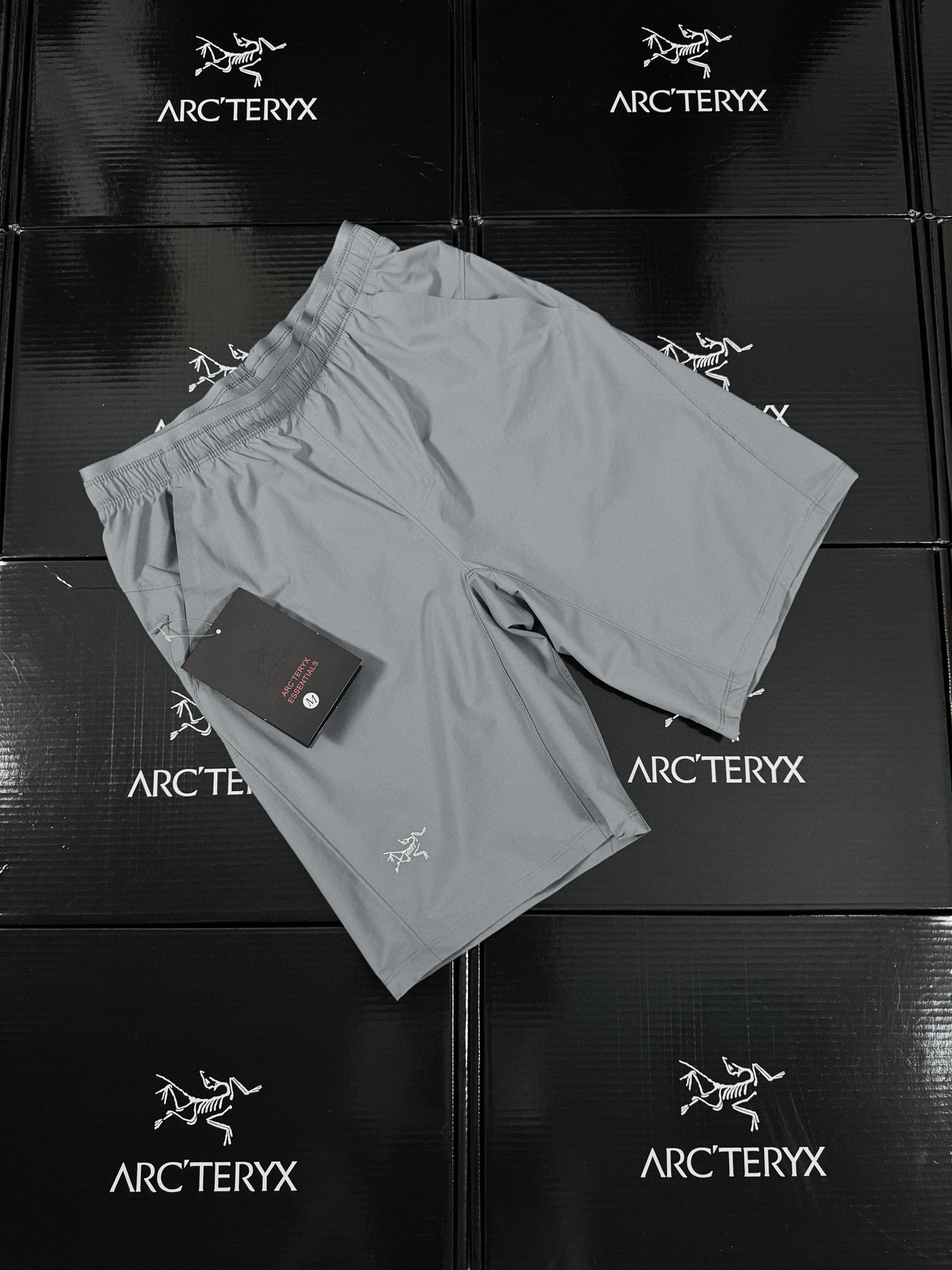 Arcteryx Short