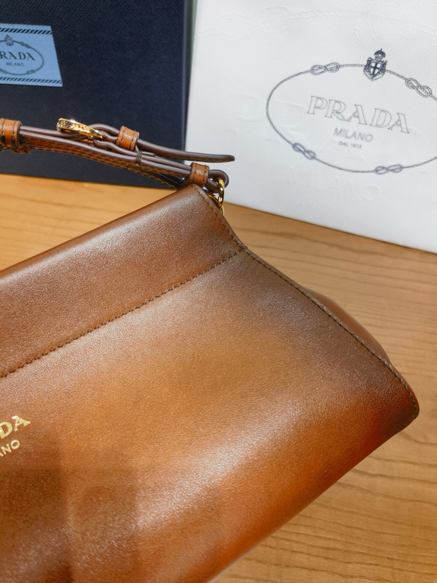 Prada Enchaine Shoulder Bag