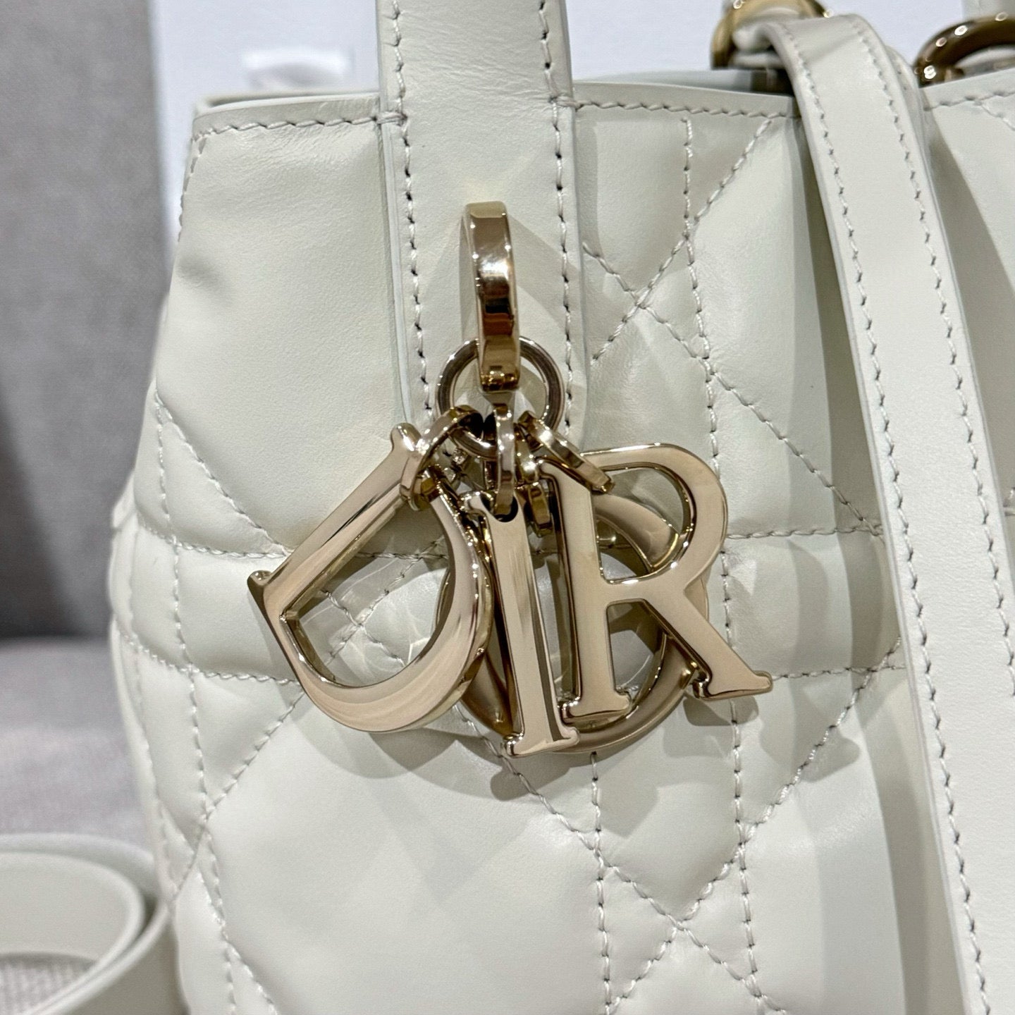 Dior Toujours Mini Bag