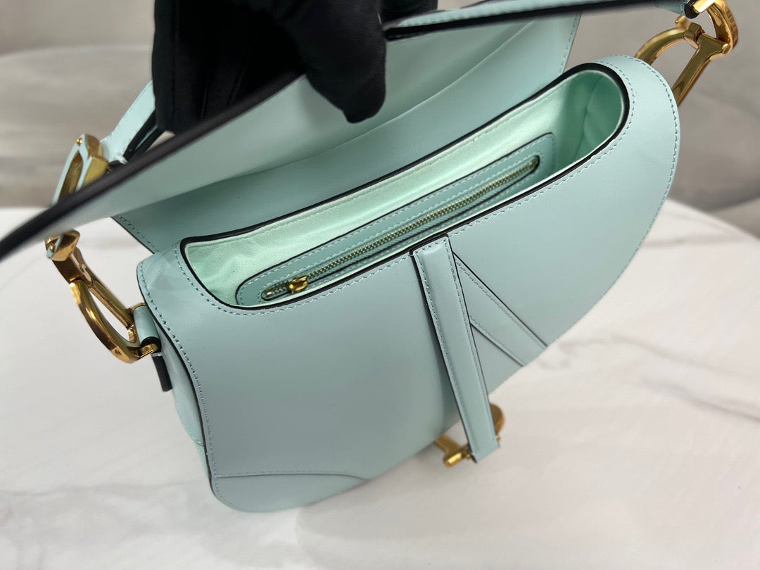 Dior Saddle Bag (25.5cm)