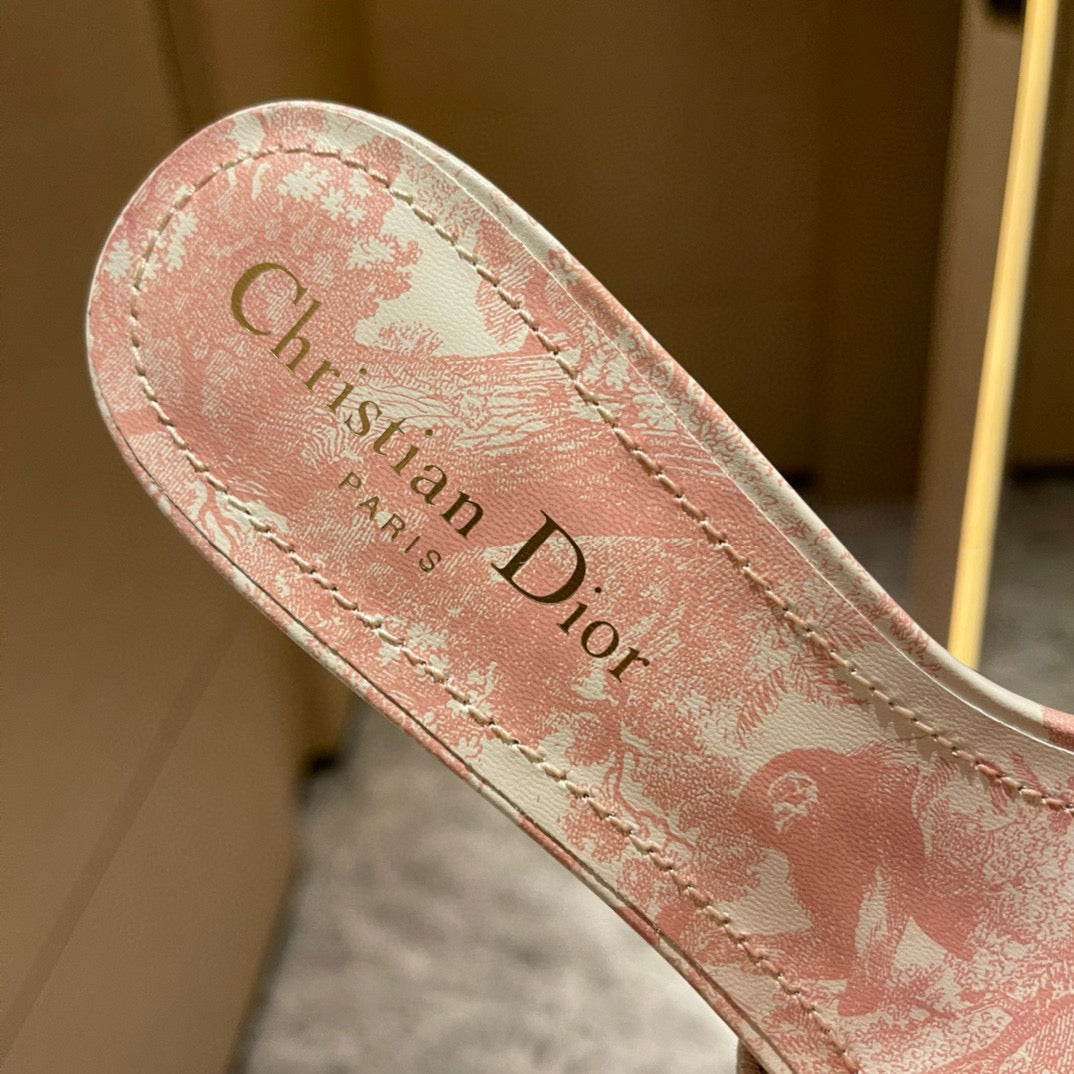 Dior Slides