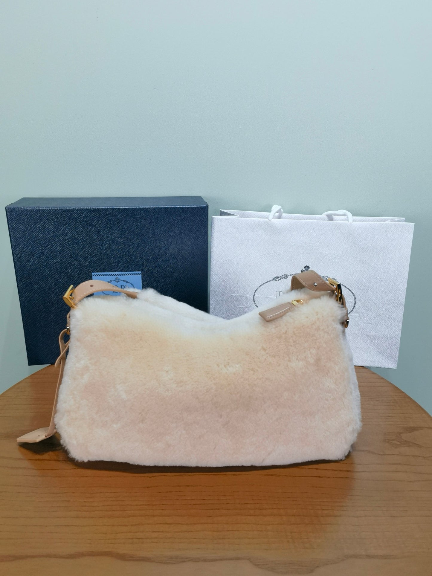 Prada Aimee Bag