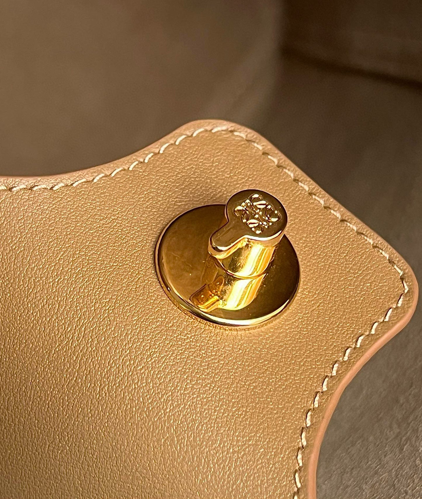 Loewe Pebble Bucket Bag(24.5x23.5x28cm)
