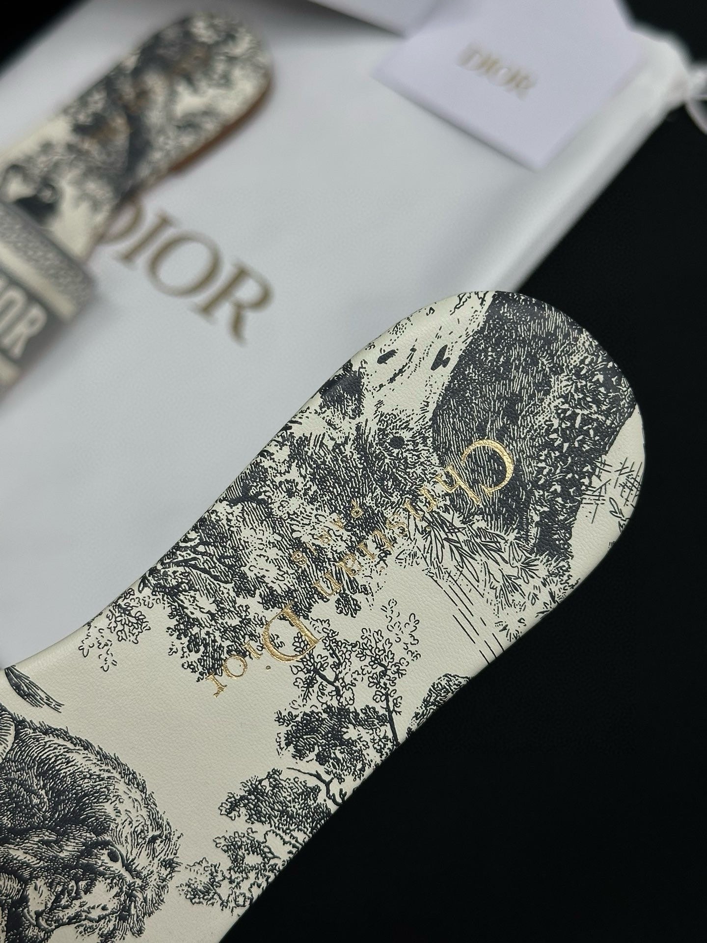 Dior Sandals