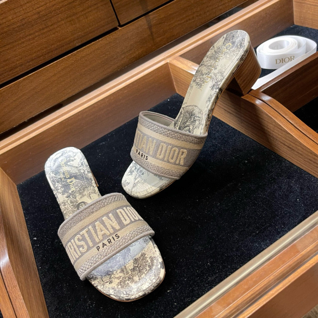 Dior Slides