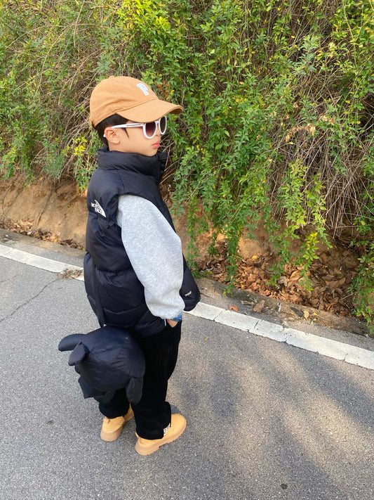 The North Face Insulated Vest Jacket