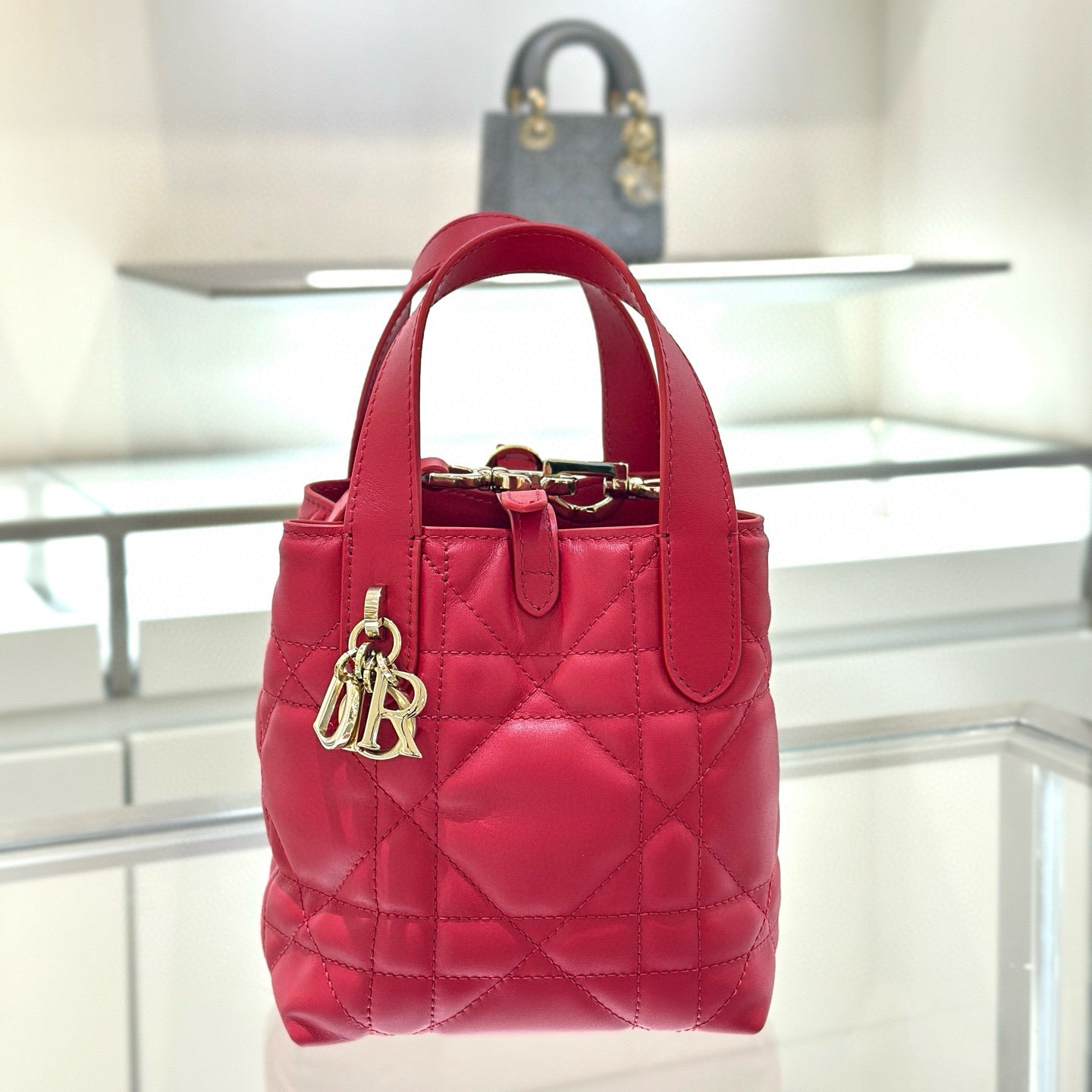 Dior Toujours Mini Bag