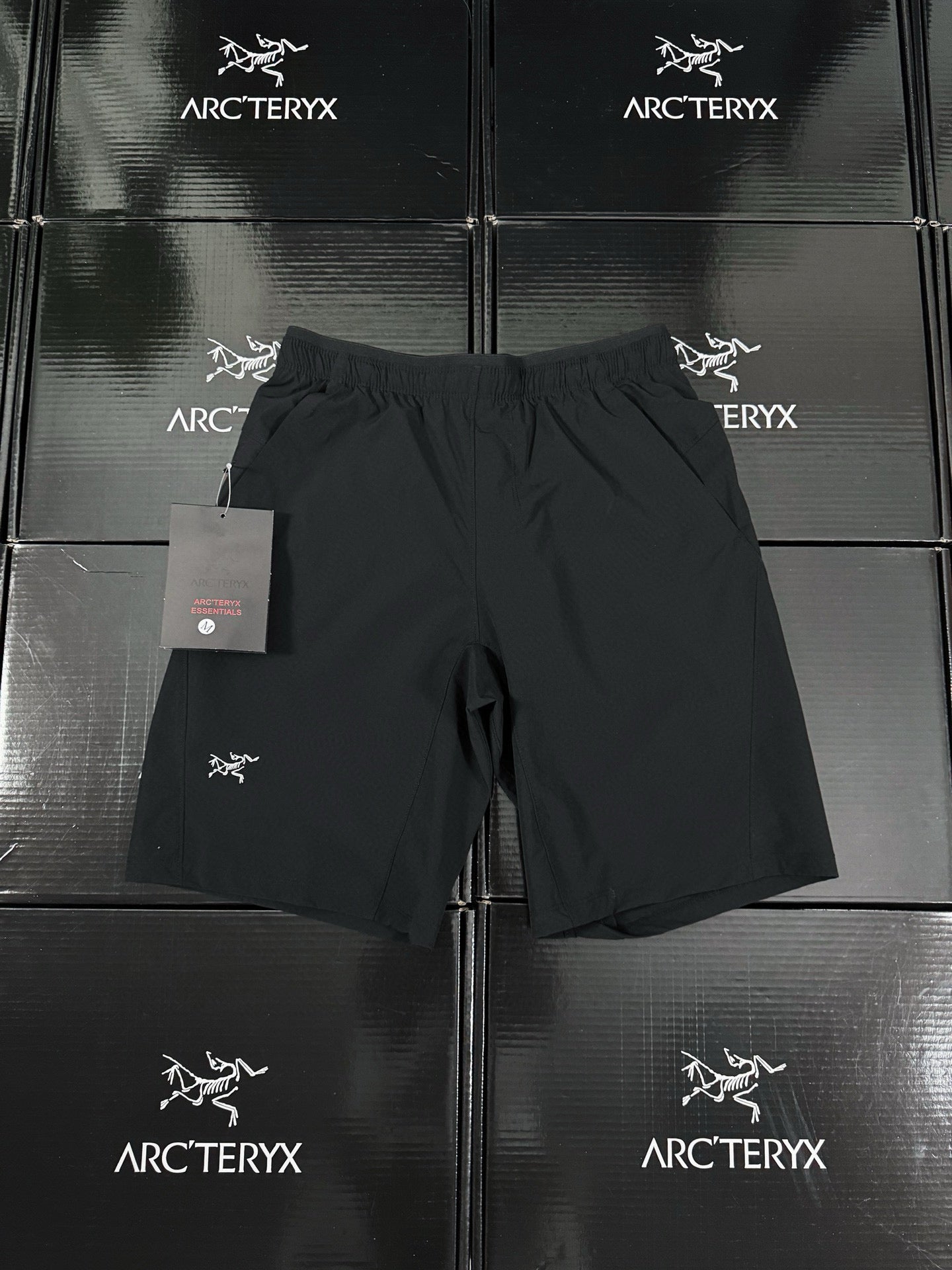 Arcteryx Short