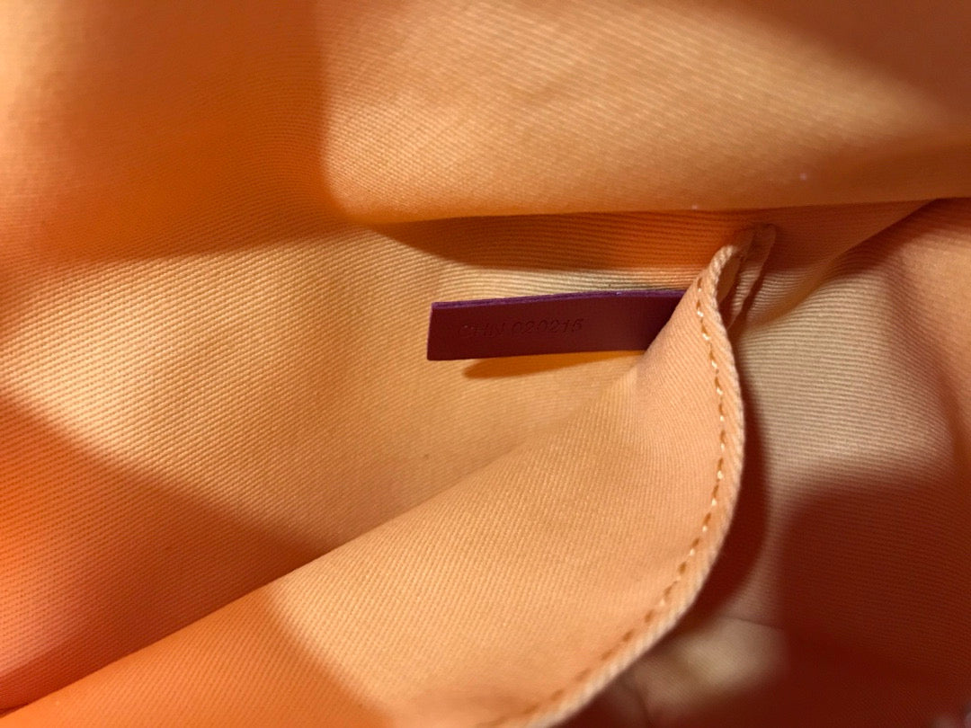 Goyard Boeing 25 Toiletry Bag