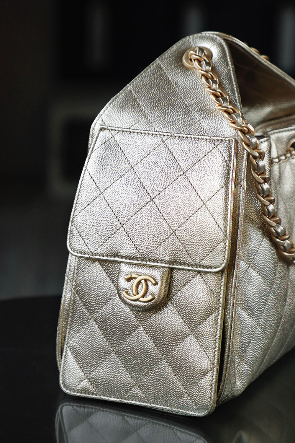 Chanel Hobo 25Bag (small)