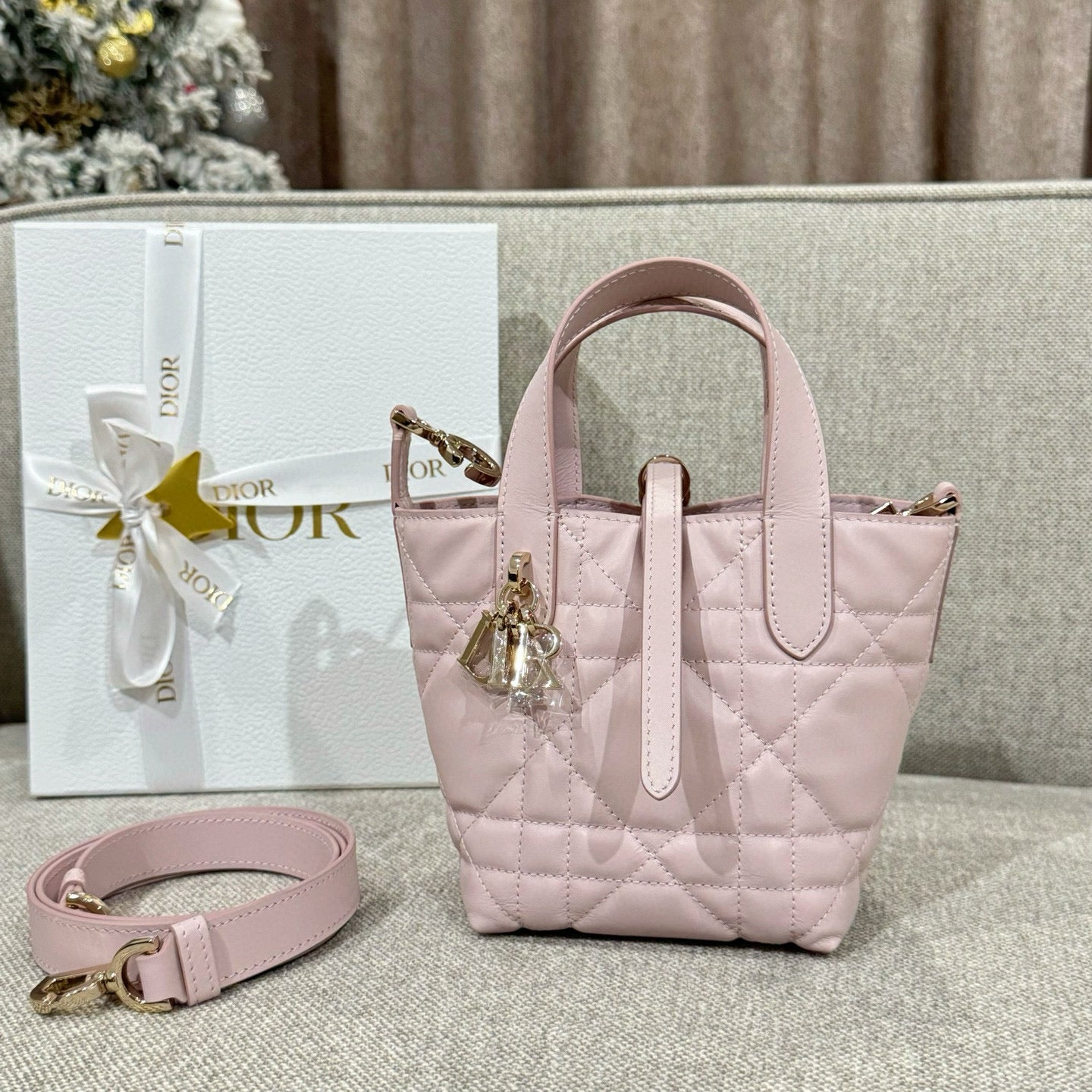 Dior Toujours Mini Bag