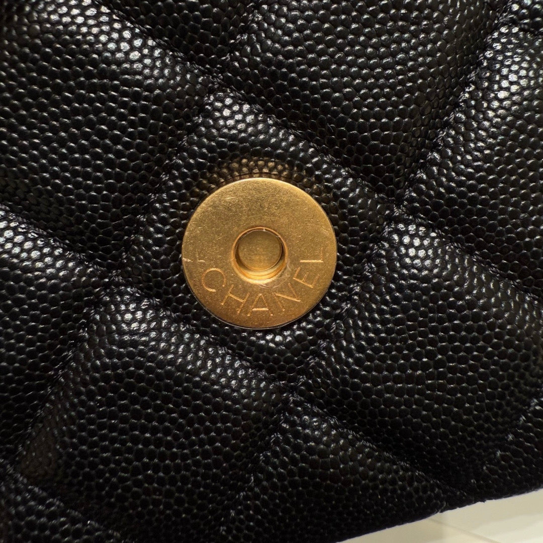 Chanel 23C Hobo (22.5x21.5x7cm)